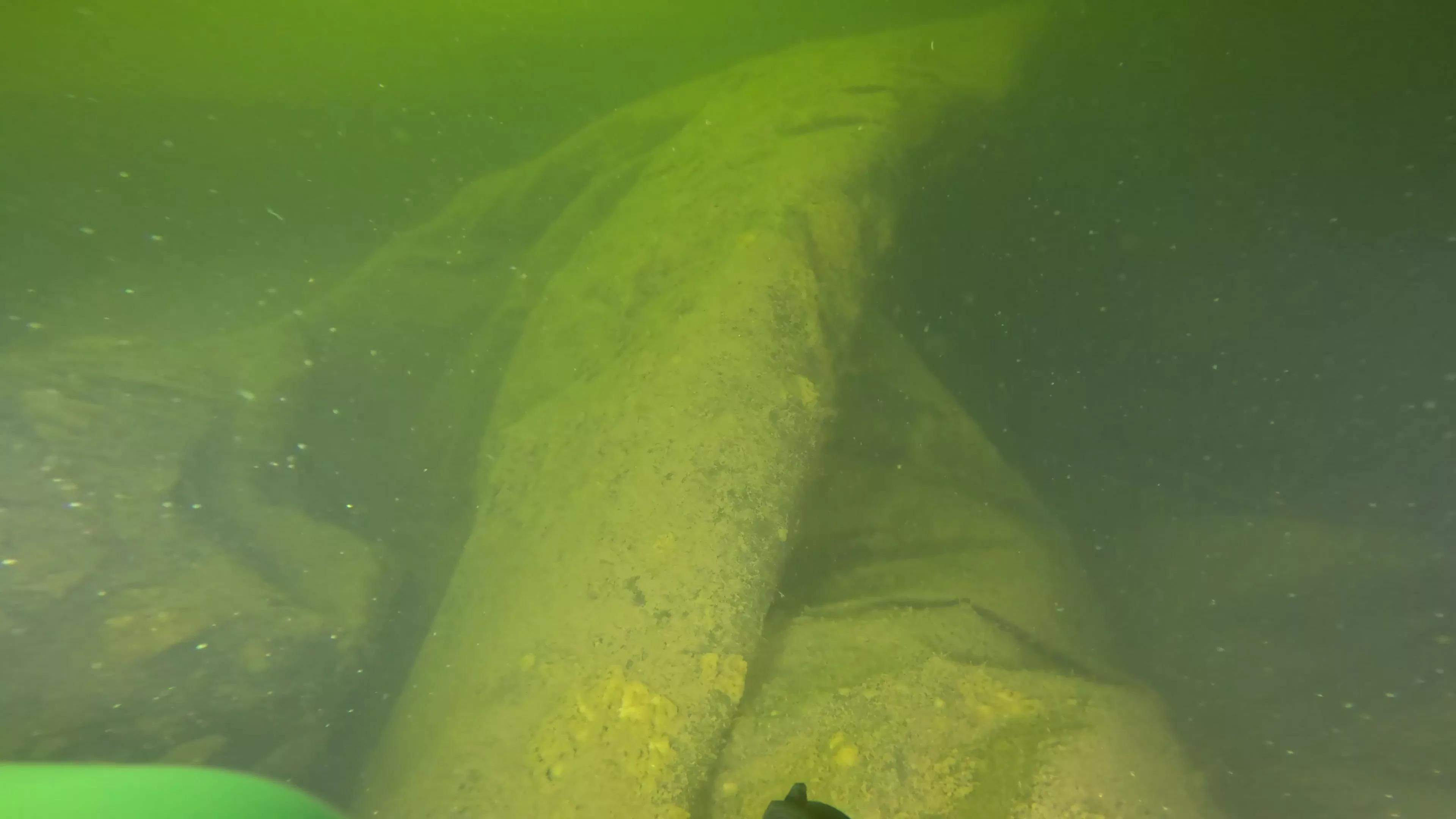 Mixed-Material Cruiser Wreck (LU101), Ballard Ship Canal, Seattle, WA — photo 12 of 12
