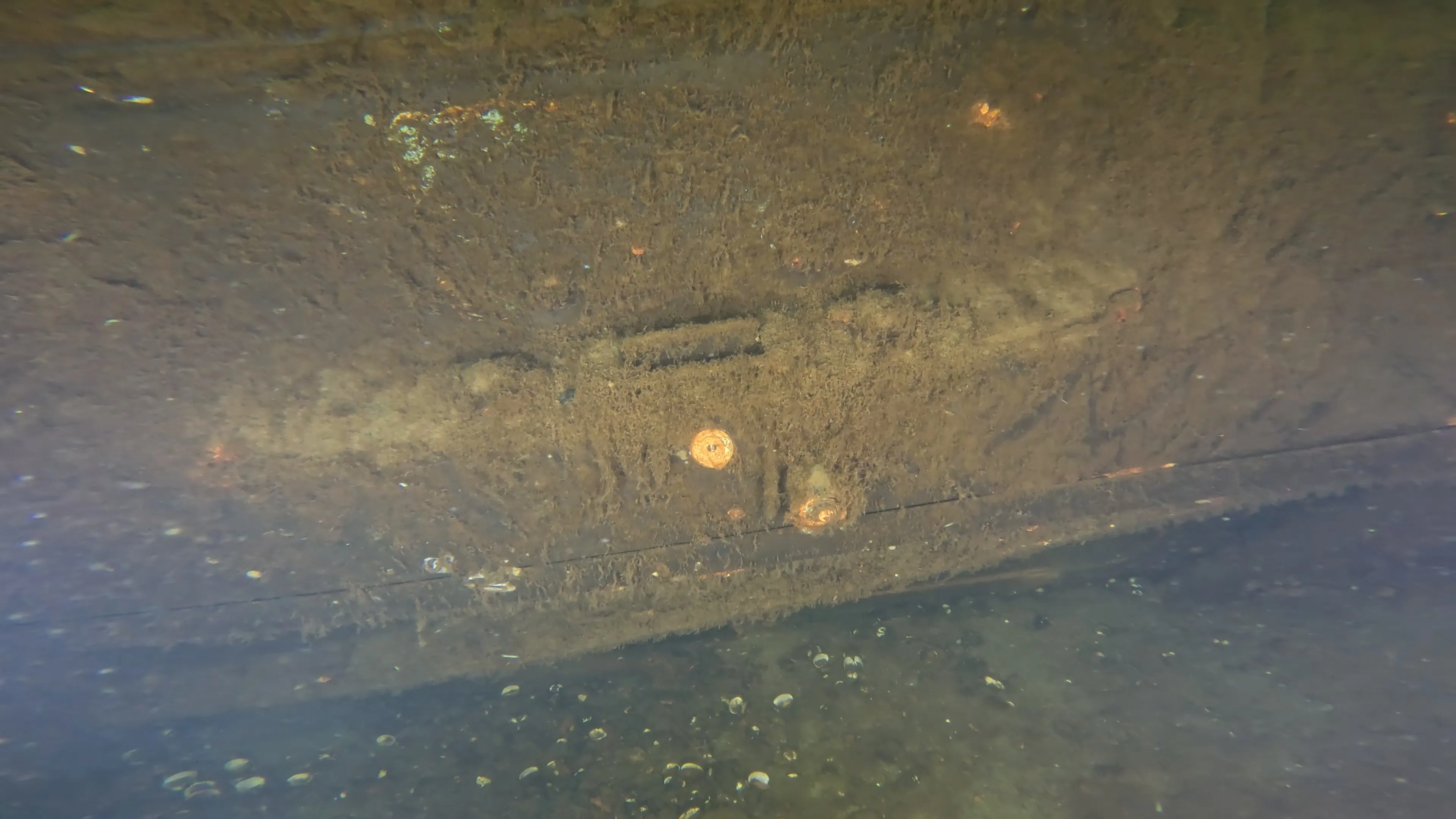 Sunken Car Wreck (V6 Badge) (LU102), Lake Union, Seattle, WA — photo 3 of 15