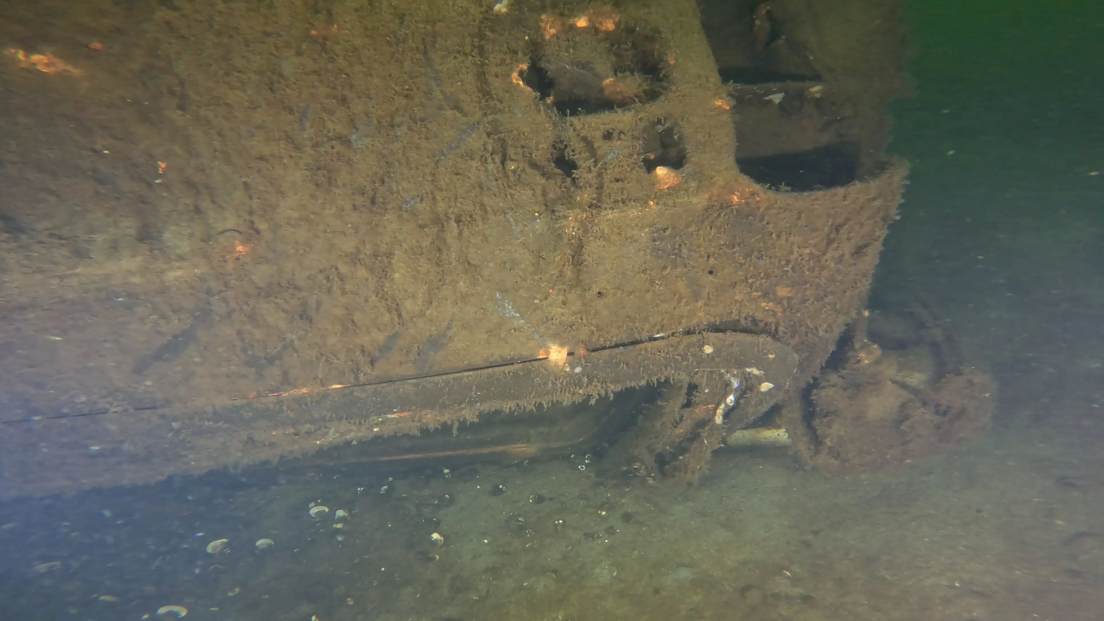 Sunken Car Wreck (V6 Badge) (LU102), Lake Union, Seattle, WA — photo 5 of 15