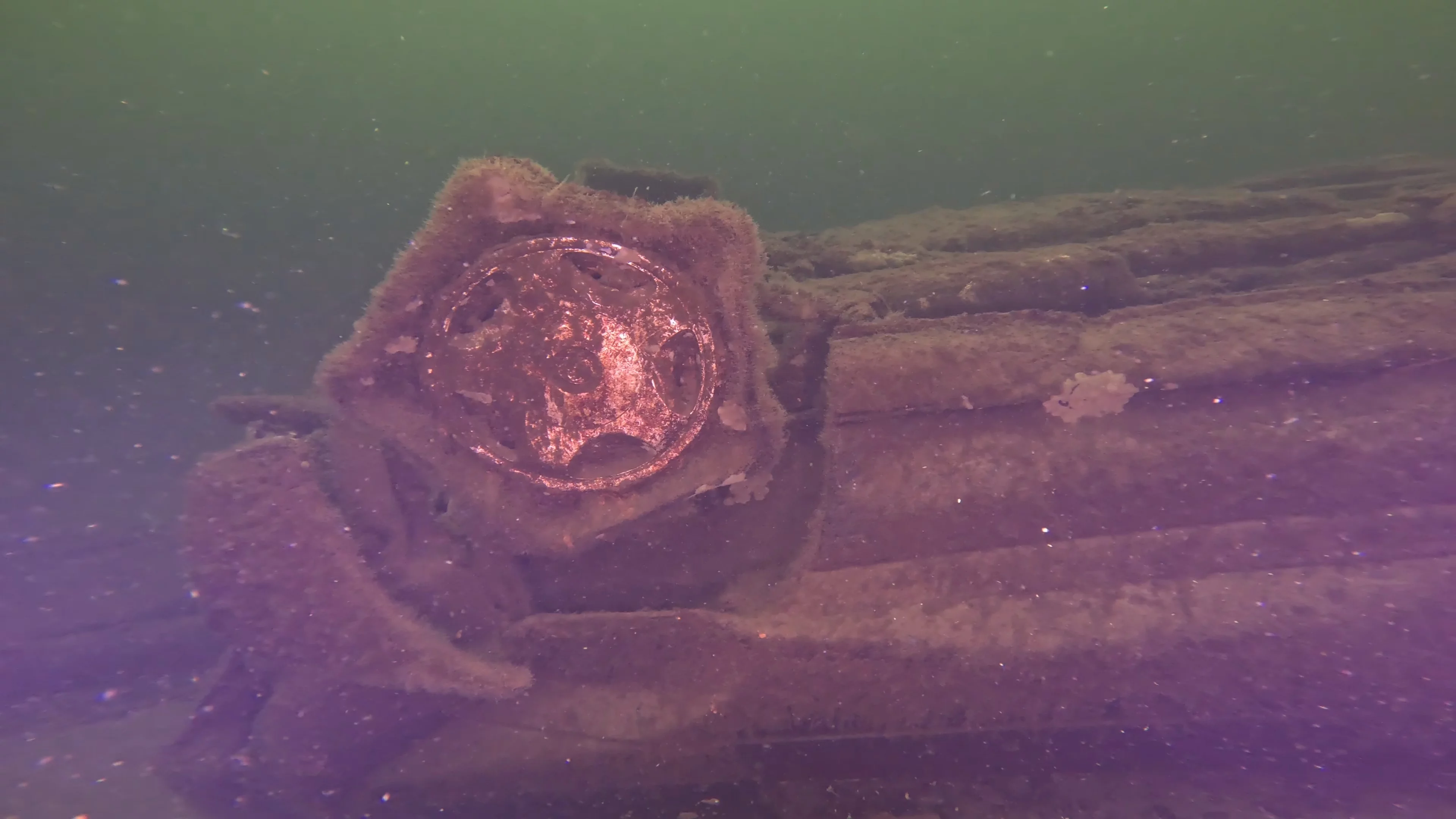 Sunken Car Wreck (V6 Badge) (LU102), Lake Union, Seattle, WA — photo 8 of 15