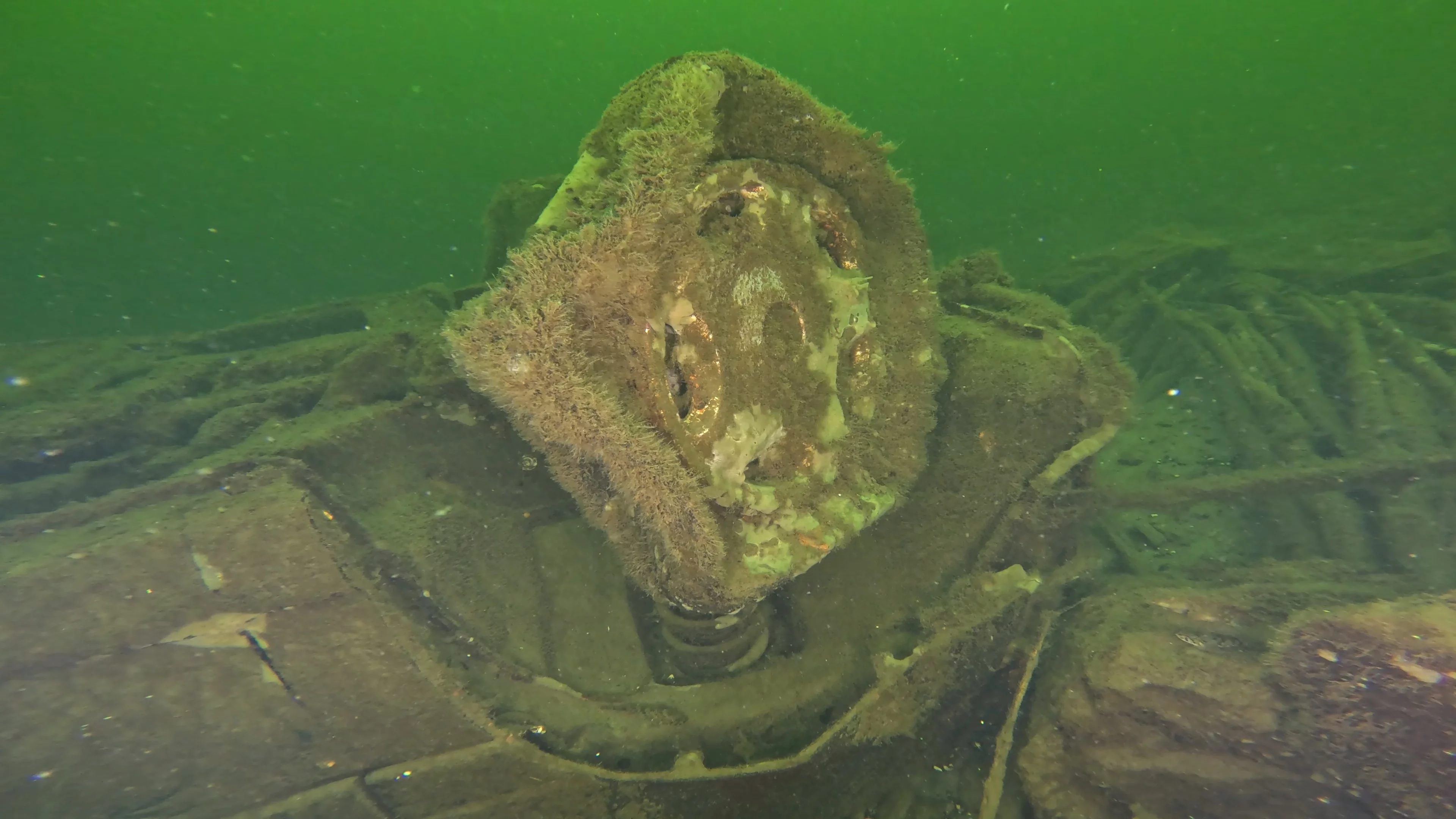 Sunken Car Wreck (V6 Badge) (LU102), Lake Union, Seattle, WA — photo 9 of 15