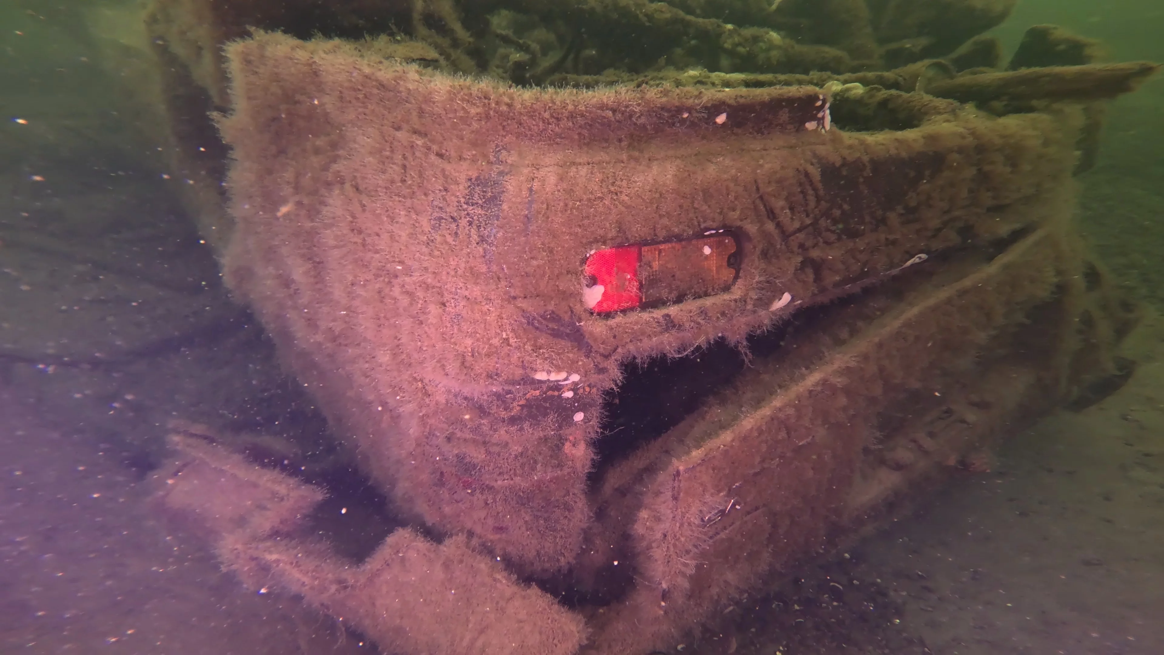 Sunken Car Wreck (V6 Badge) (LU102), Lake Union, Seattle, WA — photo 13 of 15