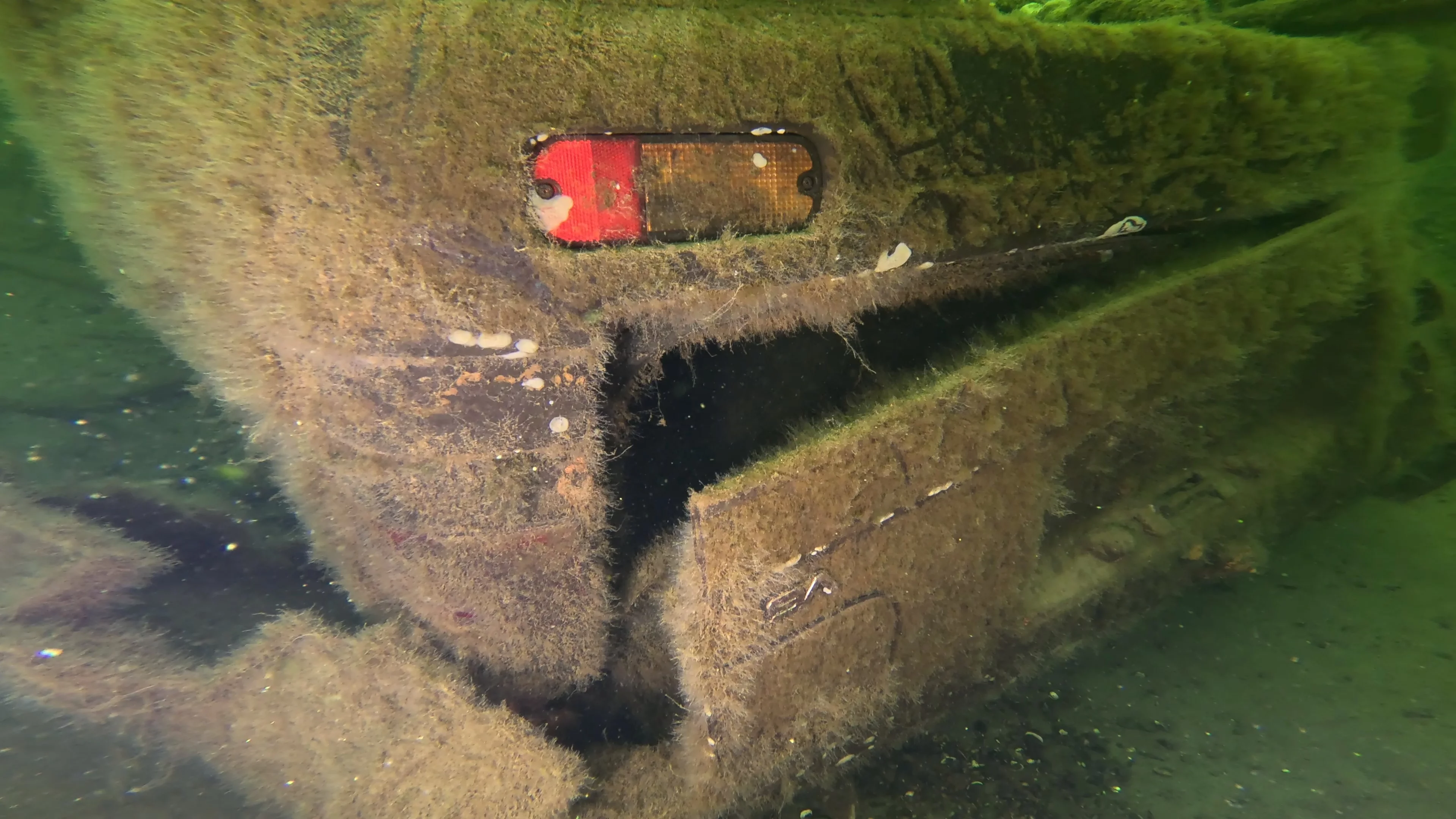 Sunken Car Wreck (V6 Badge) (LU102), Lake Union, Seattle, WA — photo 14 of 15