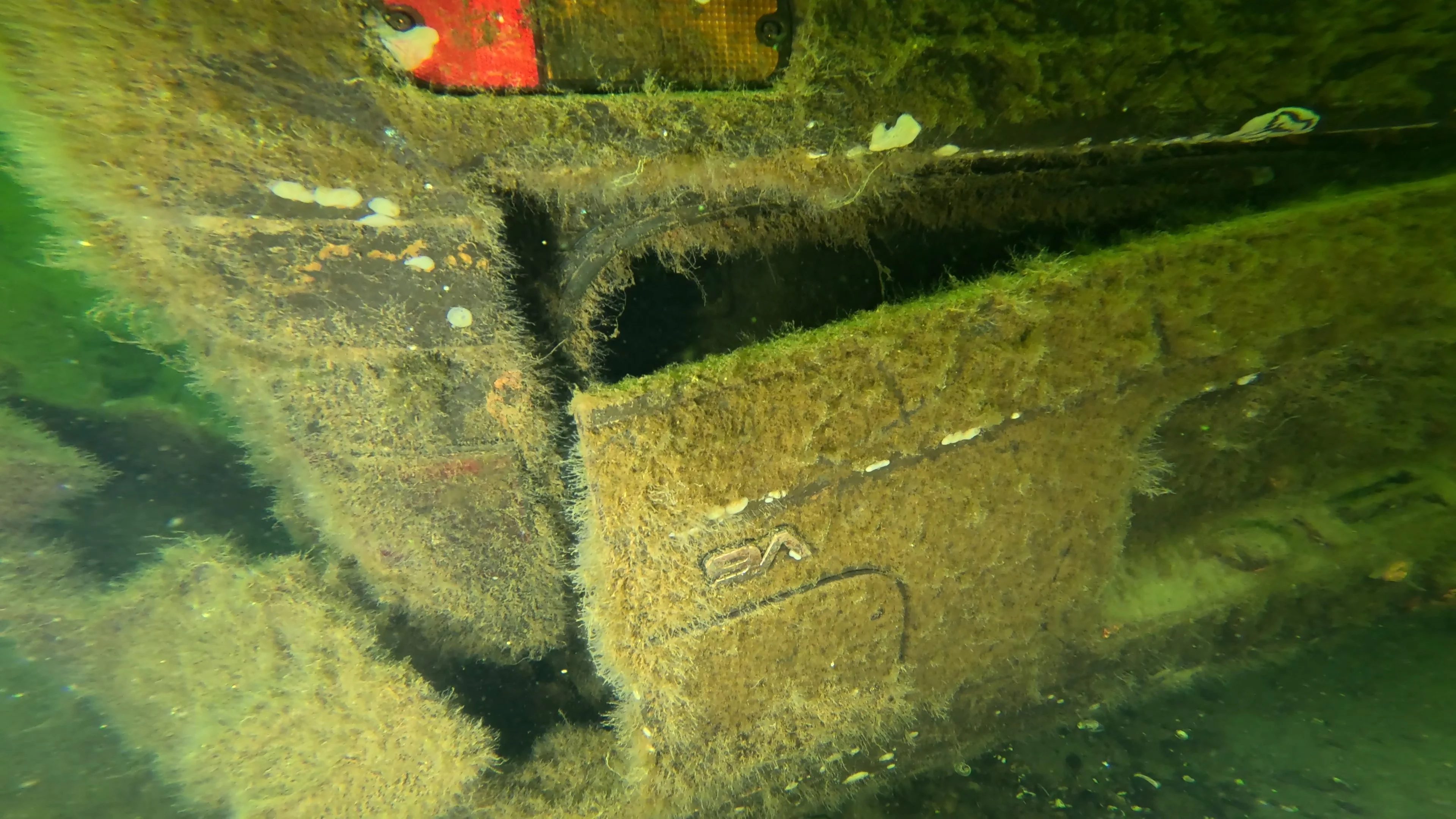 Sunken Car Wreck (V6 Badge) (LU102), Lake Union, Seattle, WA — photo 15 of 15
