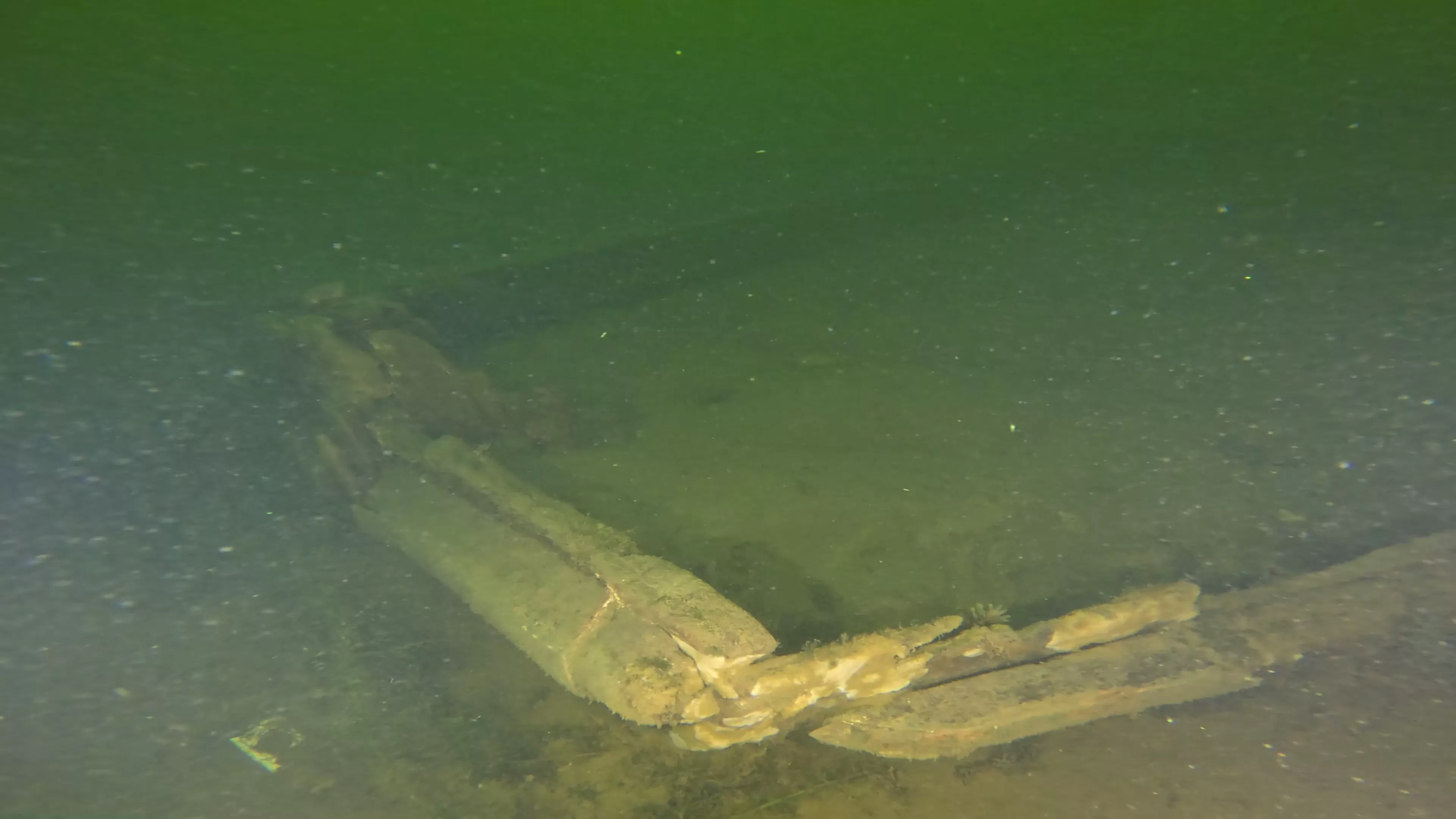 Small Wooden Boat Wreck (LU103), Lake Union, Seattle, WA — photo 6 of 13