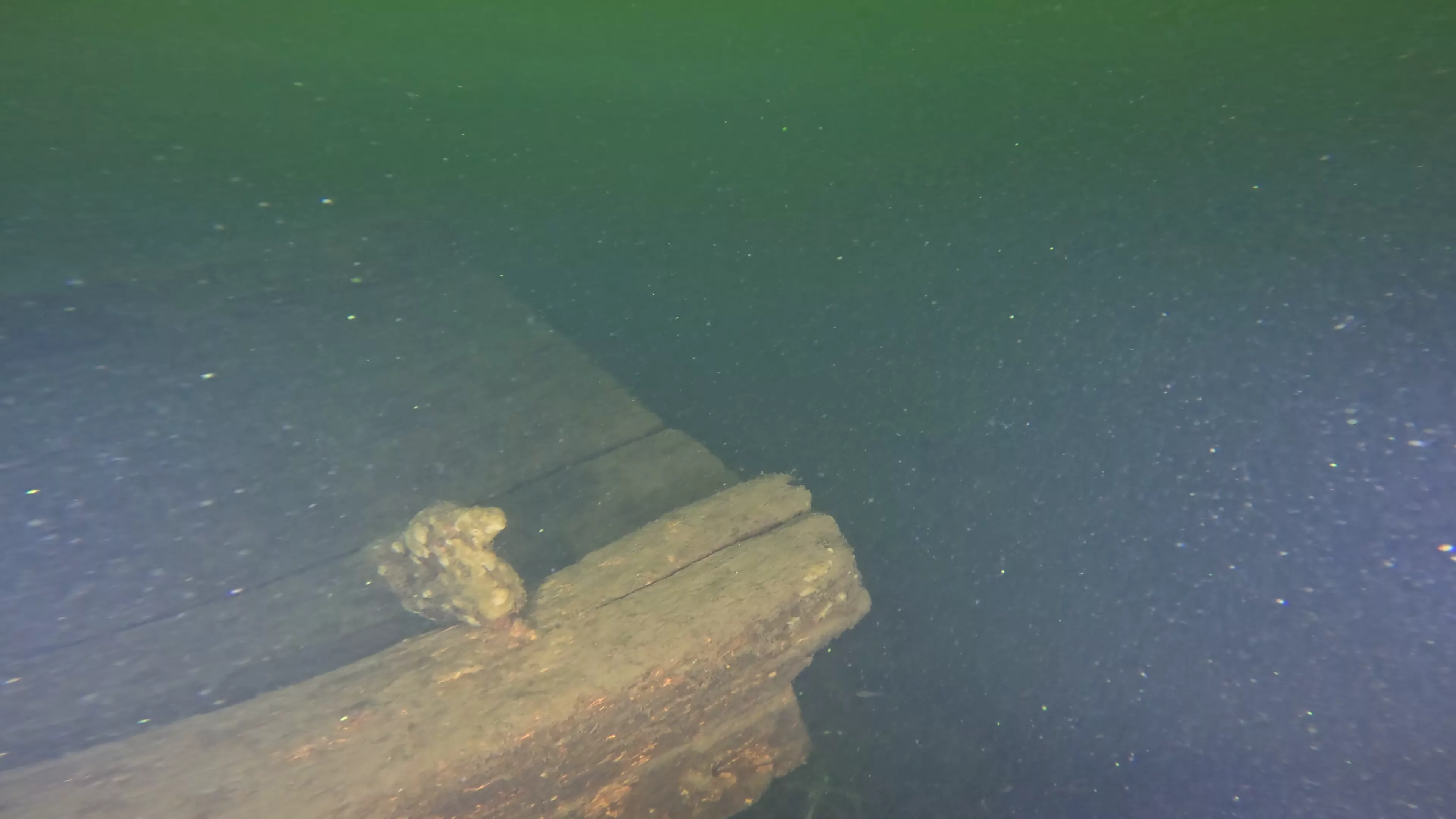 Small Dock (LU104), Lake Union, Seattle, WA — photo 6 of 7