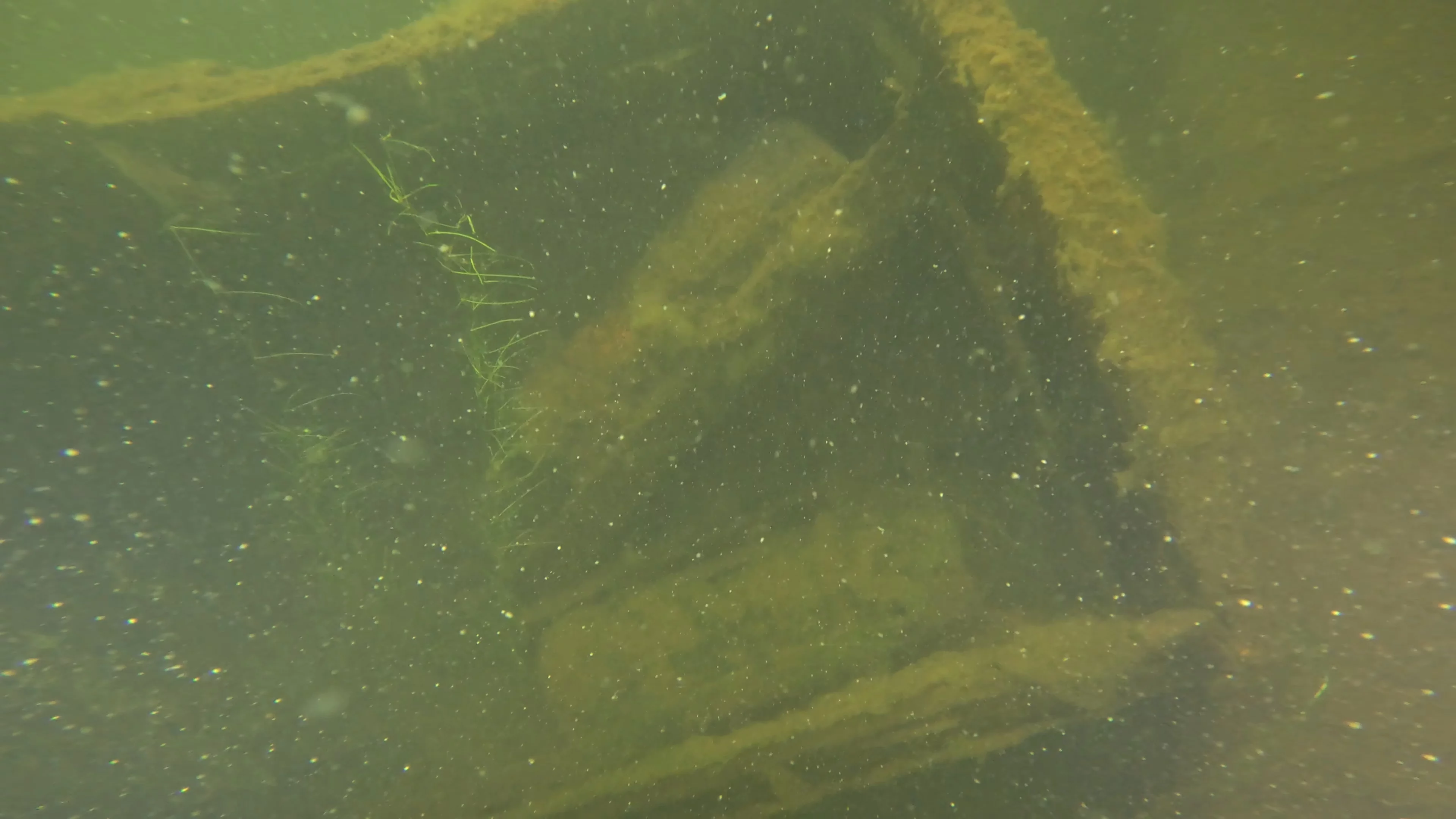 22' Wooden Shipwreck (LU106), Lake Union, Seattle, WA — photo 1 of 37