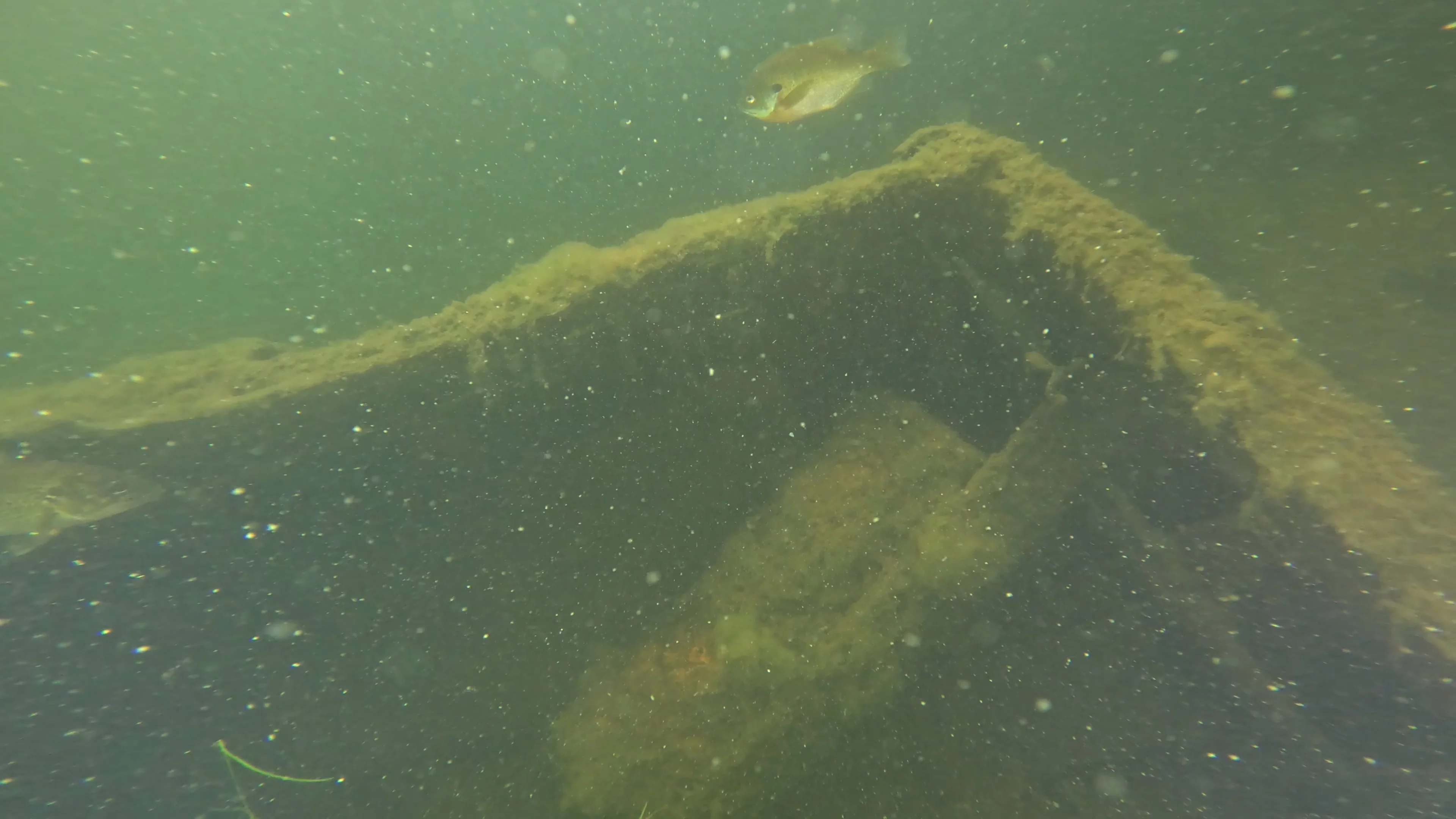 22' Wooden Shipwreck (LU106), Lake Union, Seattle, WA — photo 2 of 37