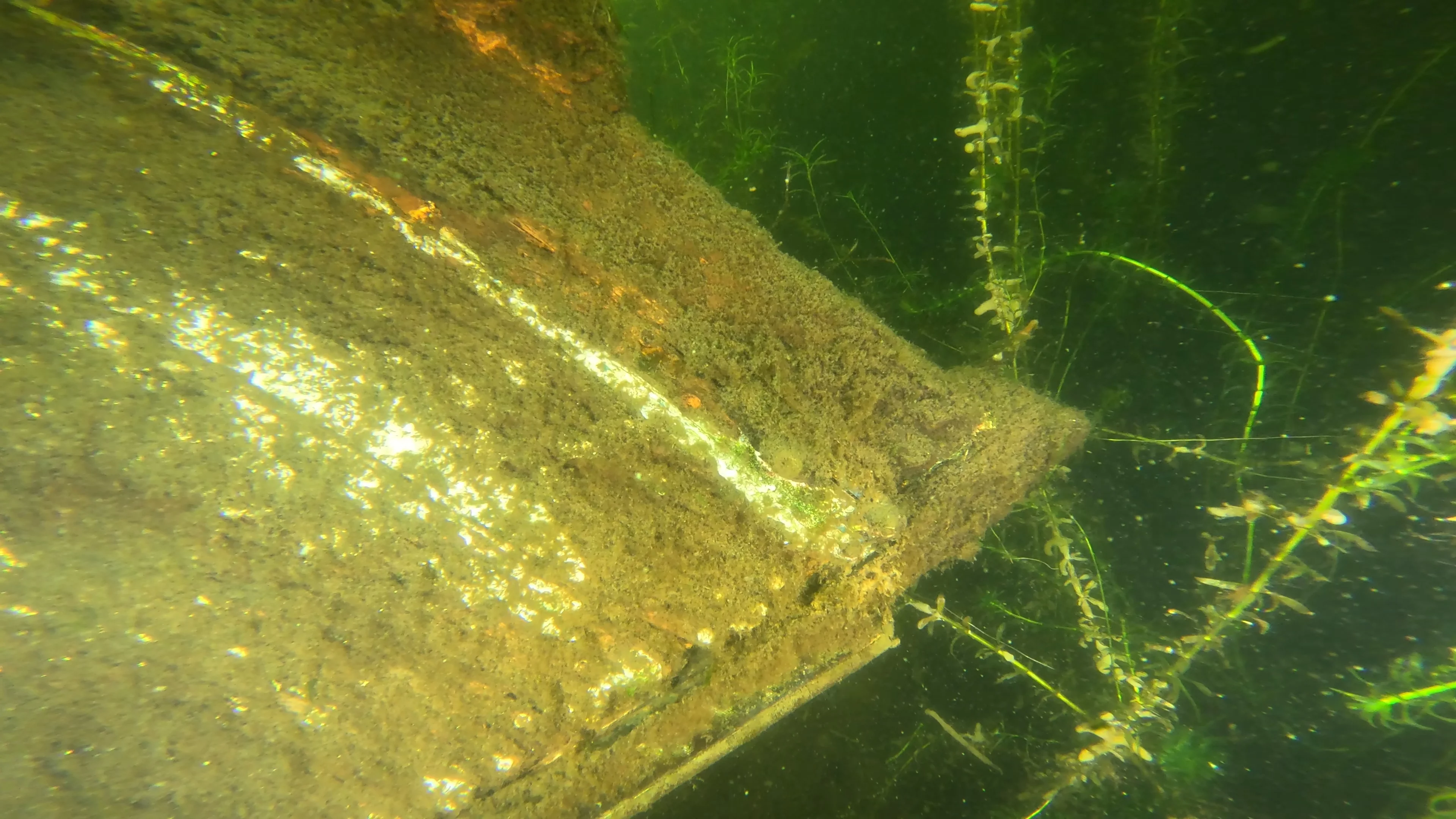 22' Wooden Shipwreck (LU106), Lake Union, Seattle, WA — photo 10 of 37