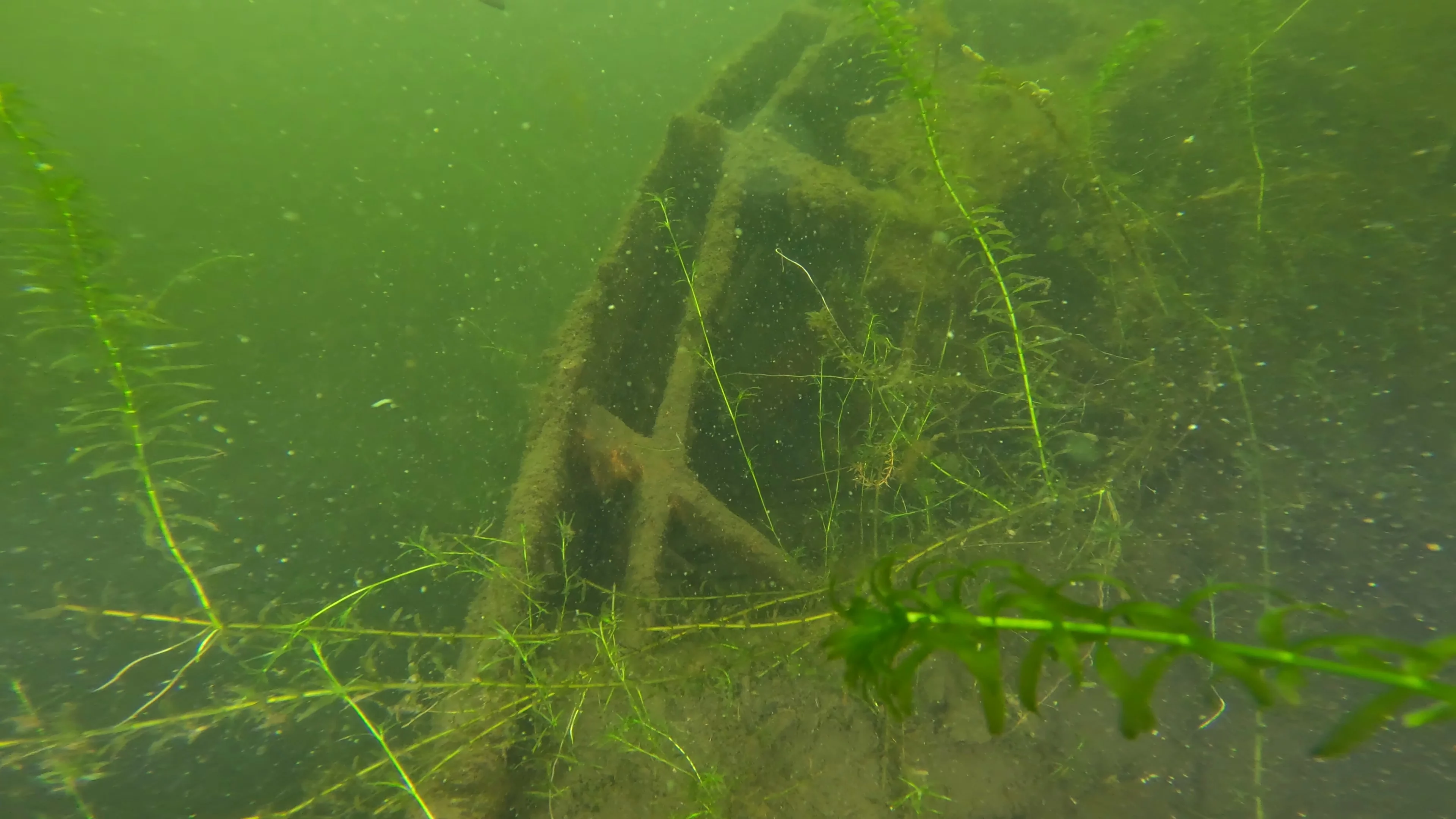 22' Wooden Shipwreck (LU106), Lake Union, Seattle, WA — photo 11 of 37