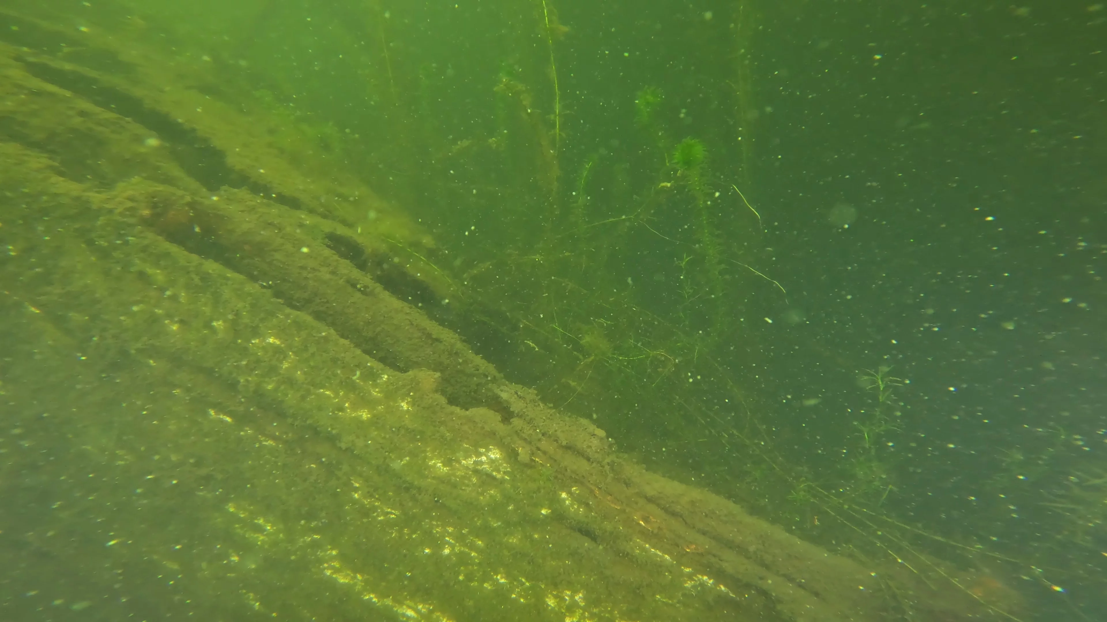 22' Wooden Shipwreck (LU106), Lake Union, Seattle, WA — photo 15 of 37