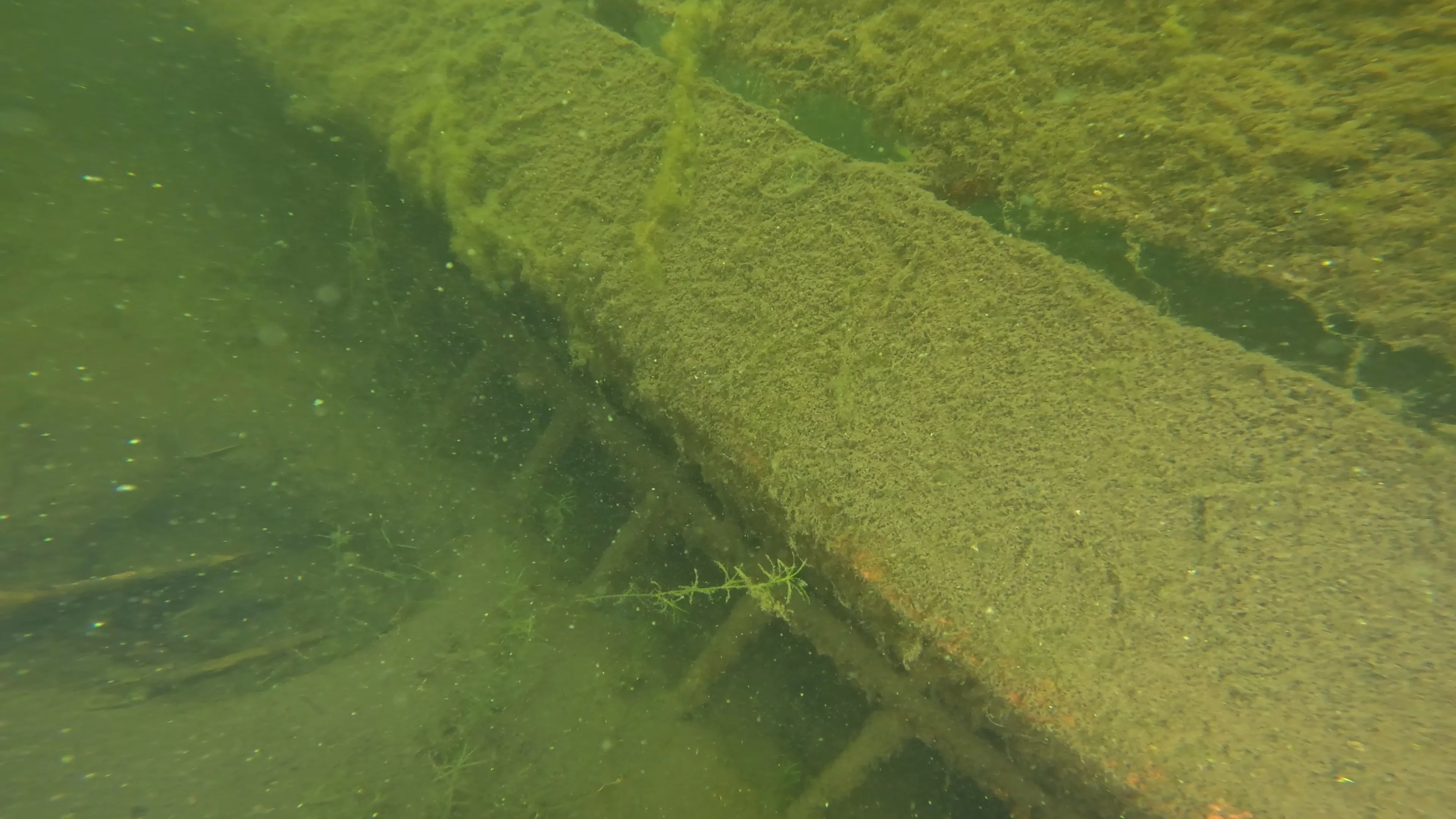 22' Wooden Shipwreck (LU106), Lake Union, Seattle, WA — photo 16 of 37