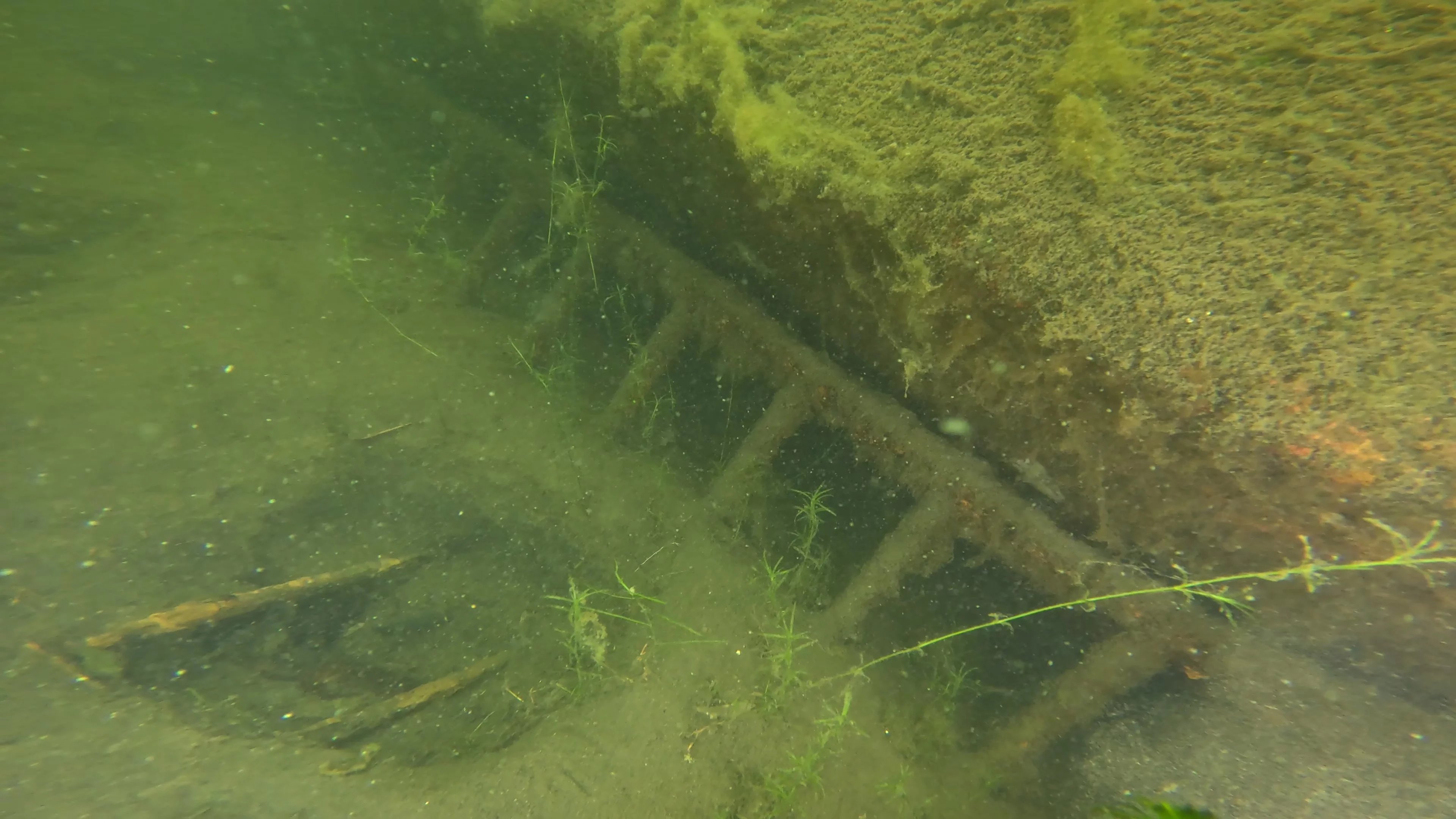 22' Wooden Shipwreck (LU106), Lake Union, Seattle, WA — photo 17 of 37
