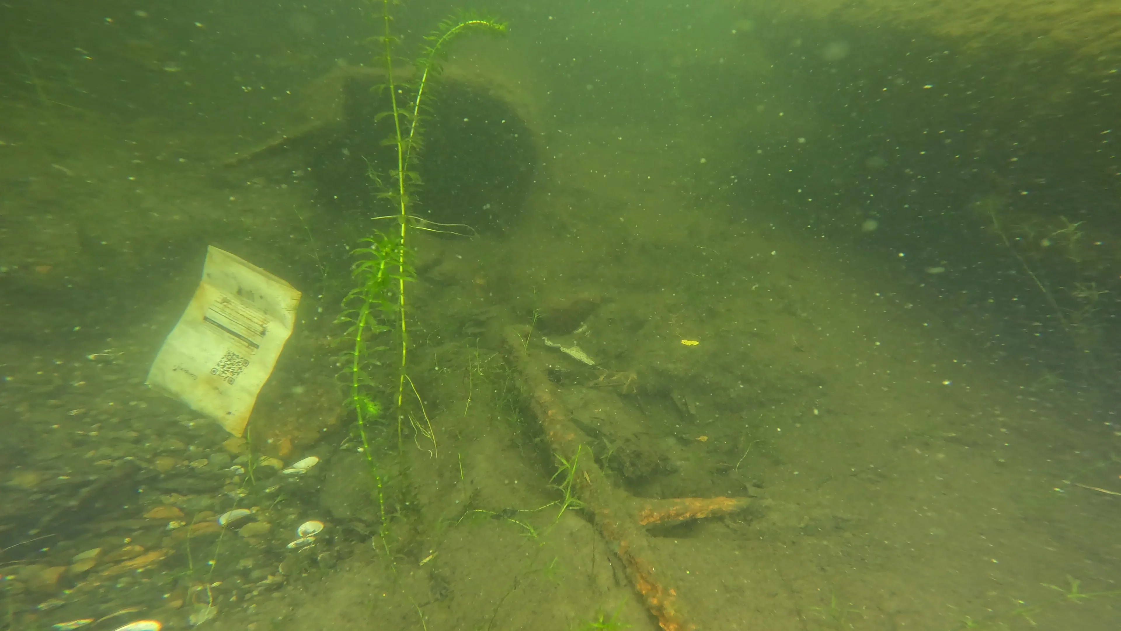 22' Wooden Shipwreck (LU106), Lake Union, Seattle, WA — photo 20 of 37