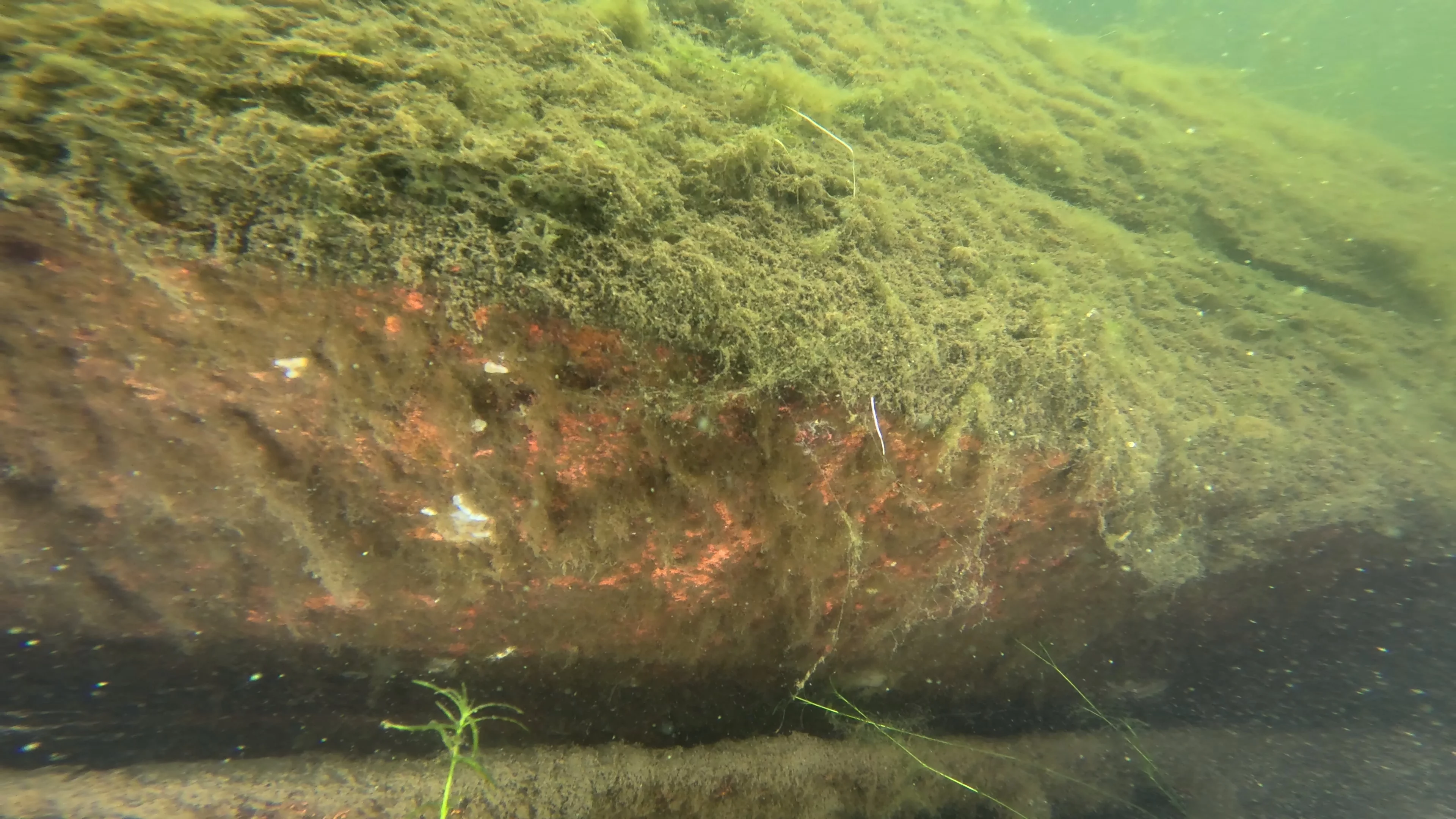22' Wooden Shipwreck (LU106), Lake Union, Seattle, WA — photo 22 of 37