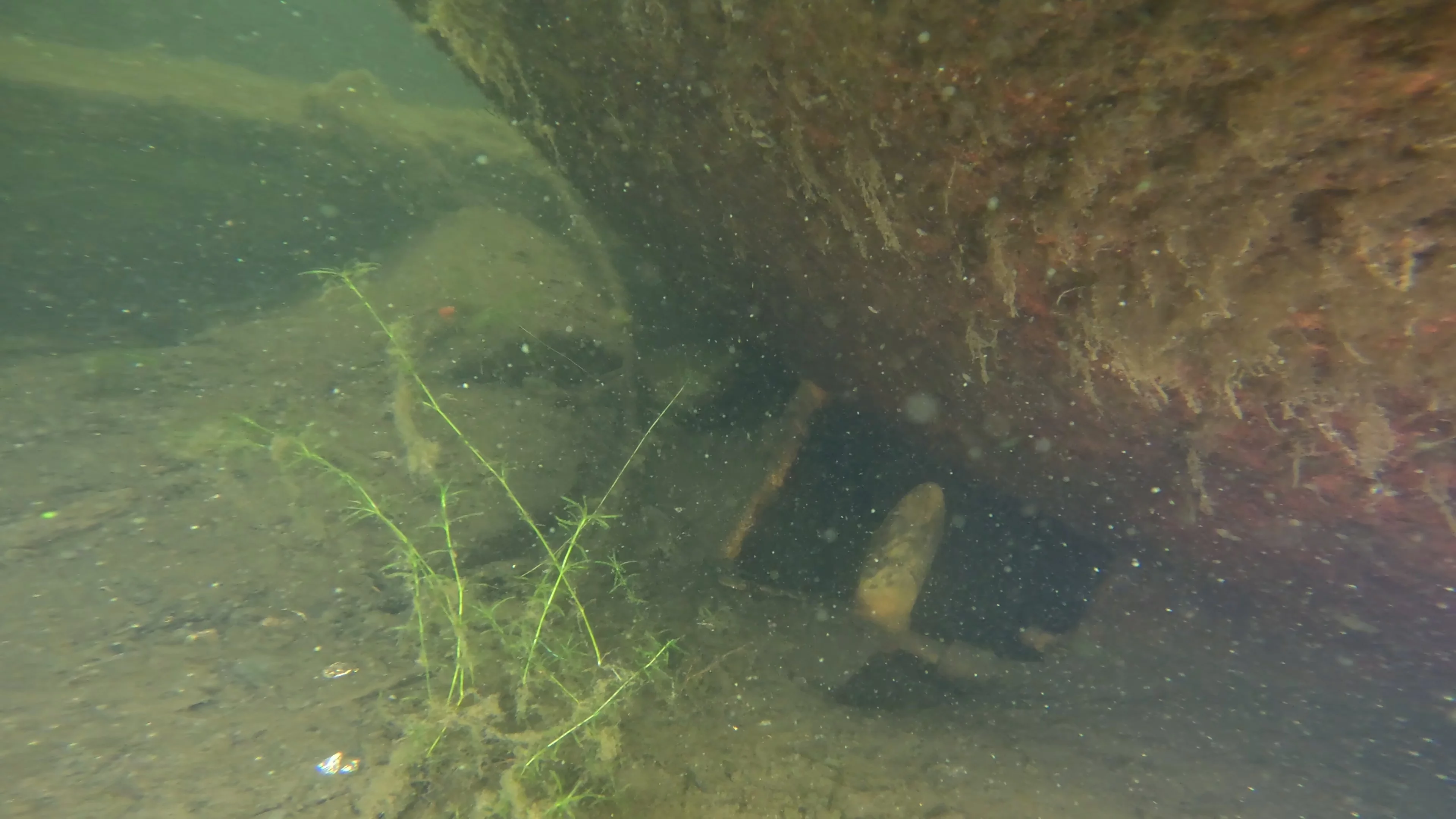 22' Wooden Shipwreck (LU106), Lake Union, Seattle, WA — photo 23 of 37