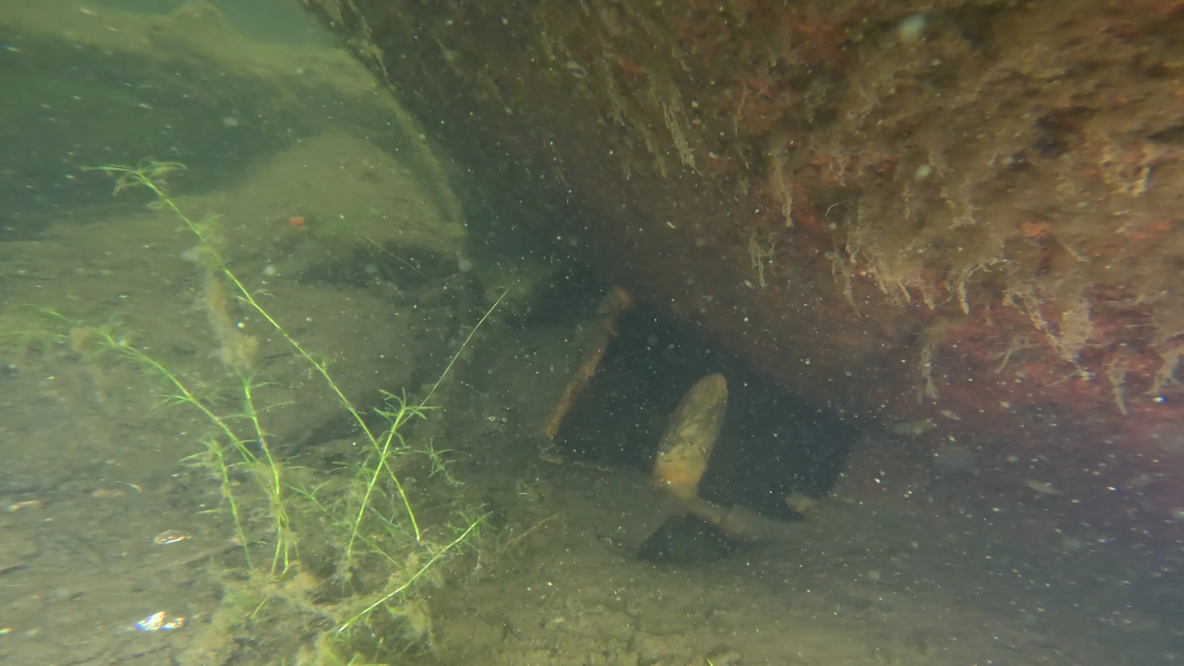 22' Wooden Shipwreck (LU106), Lake Union, Seattle, WA — photo 24 of 37