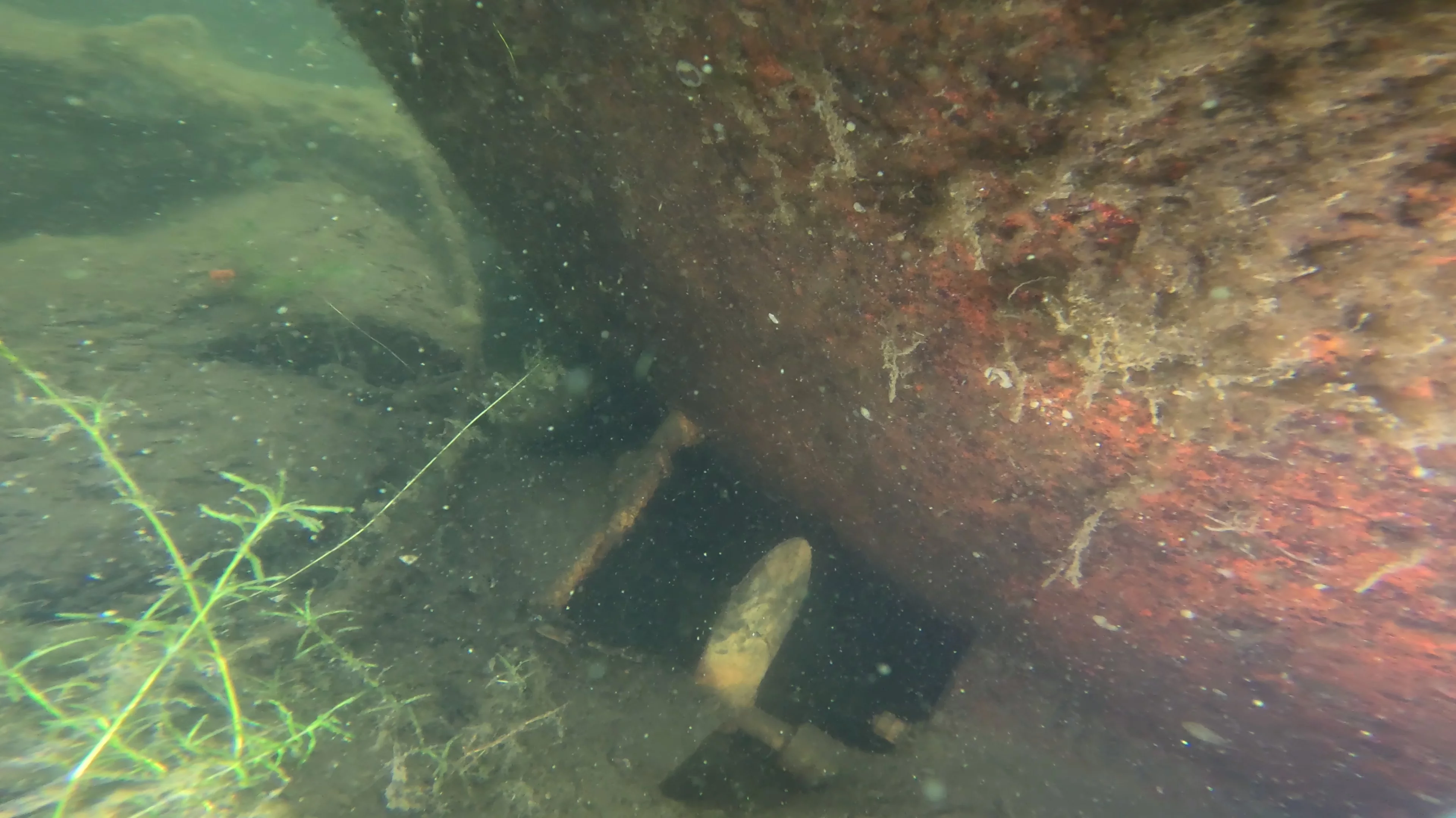 22' Wooden Shipwreck (LU106), Lake Union, Seattle, WA — photo 25 of 37