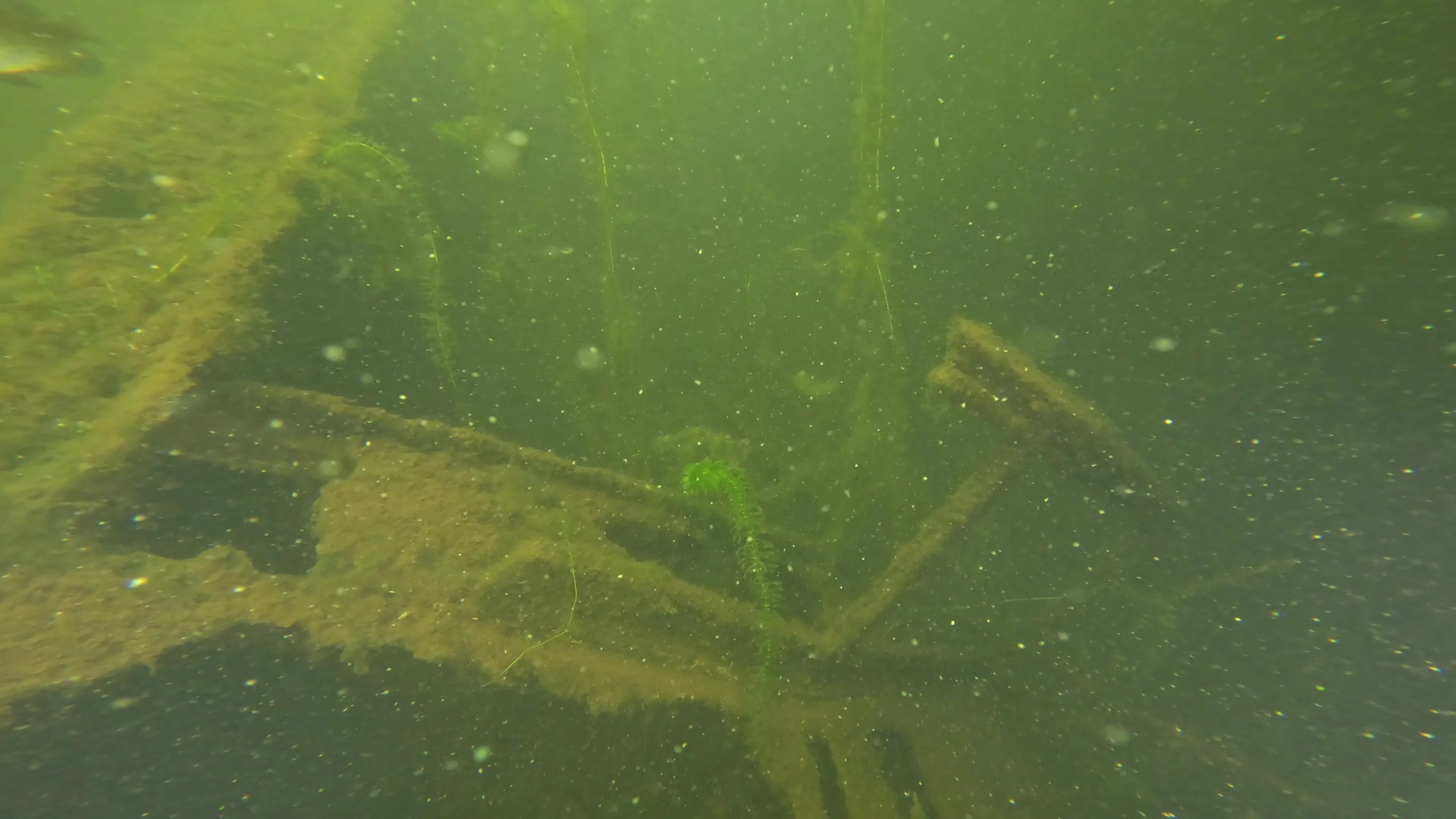 22' Wooden Shipwreck (LU106), Lake Union, Seattle, WA — photo 28 of 37