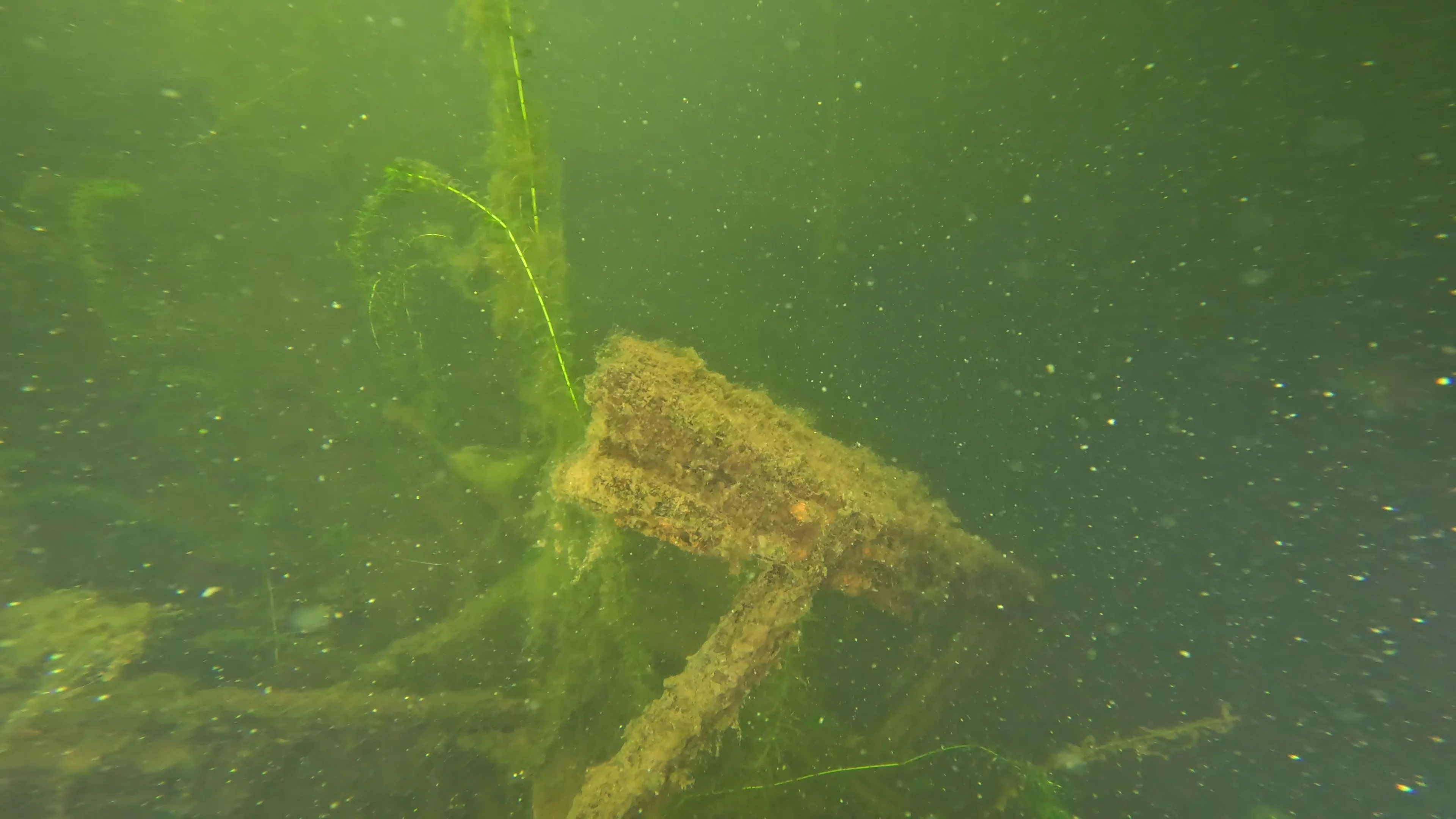22' Wooden Shipwreck (LU106), Lake Union, Seattle, WA — photo 29 of 37