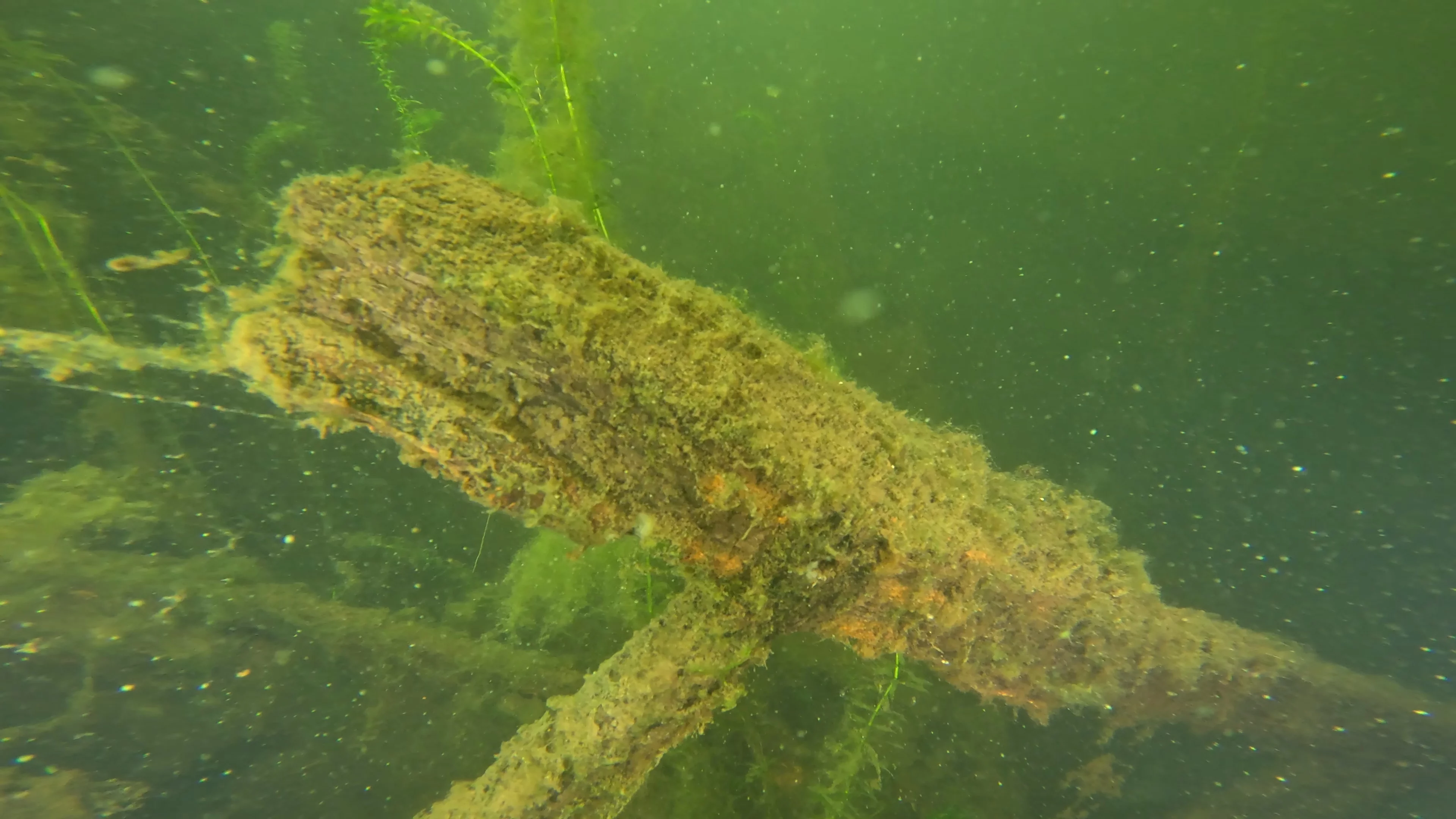 22' Wooden Shipwreck (LU106), Lake Union, Seattle, WA — photo 30 of 37