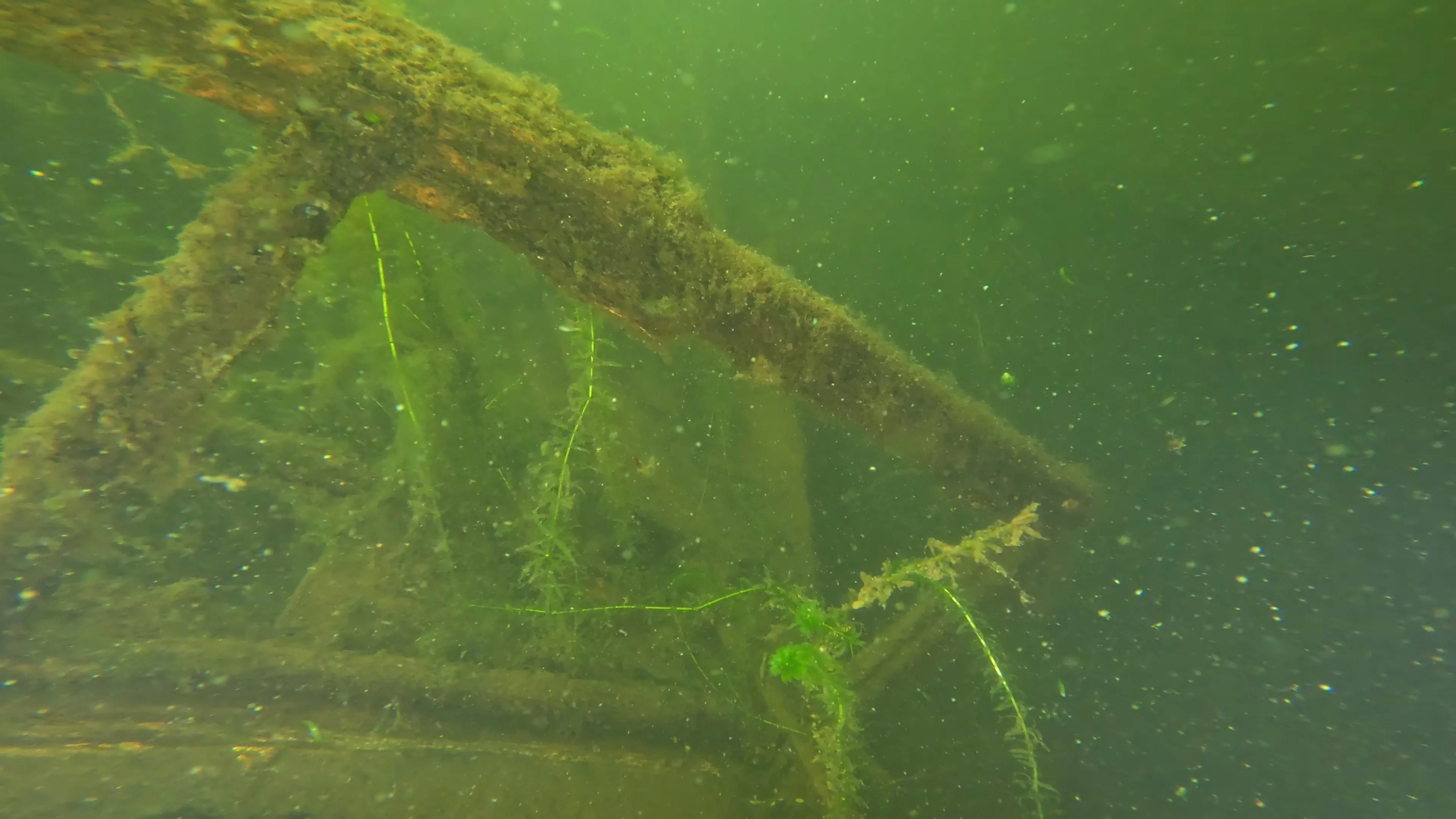 22' Wooden Shipwreck (LU106), Lake Union, Seattle, WA — photo 31 of 37