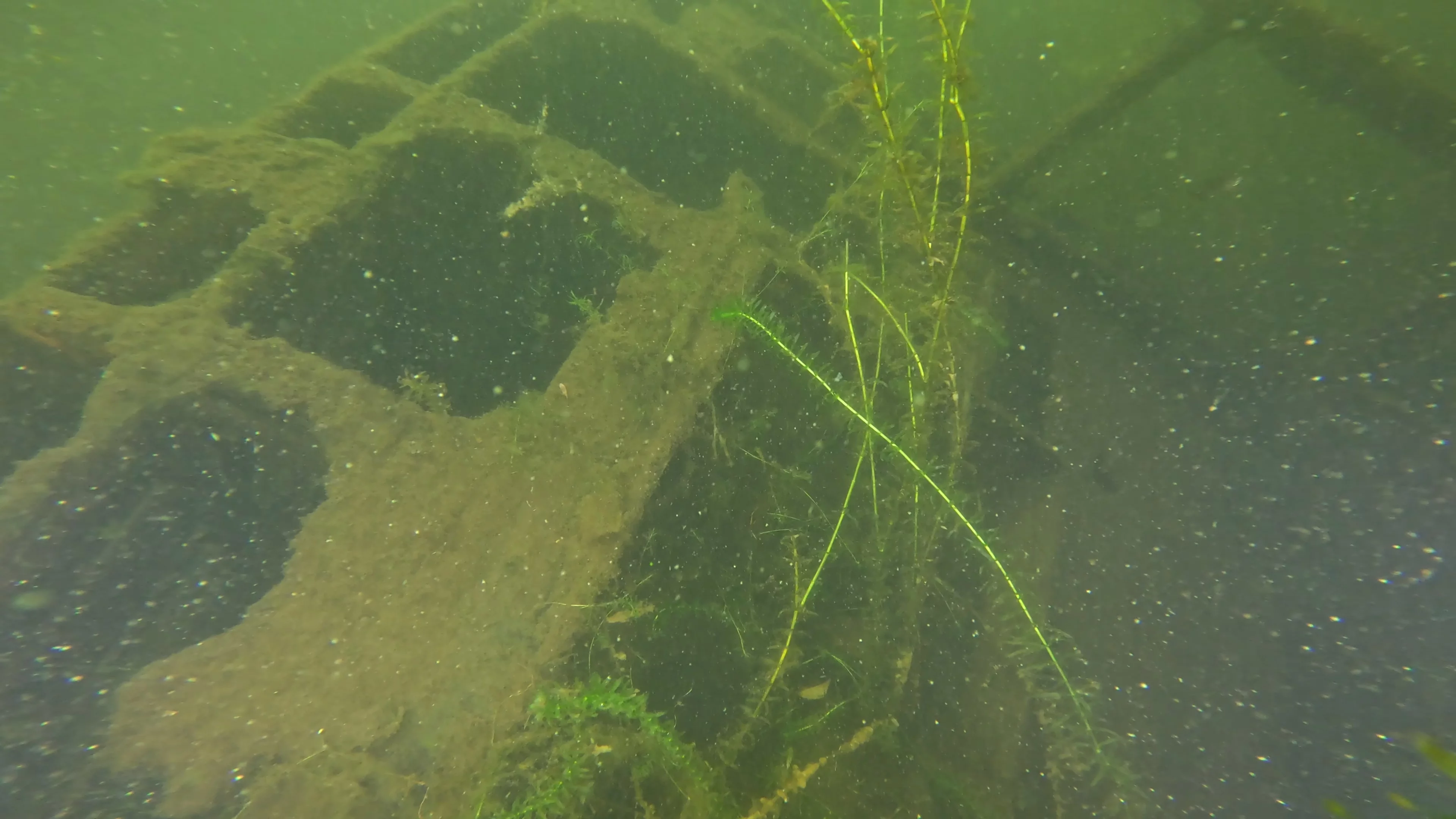 22' Wooden Shipwreck (LU106), Lake Union, Seattle, WA — photo 34 of 37