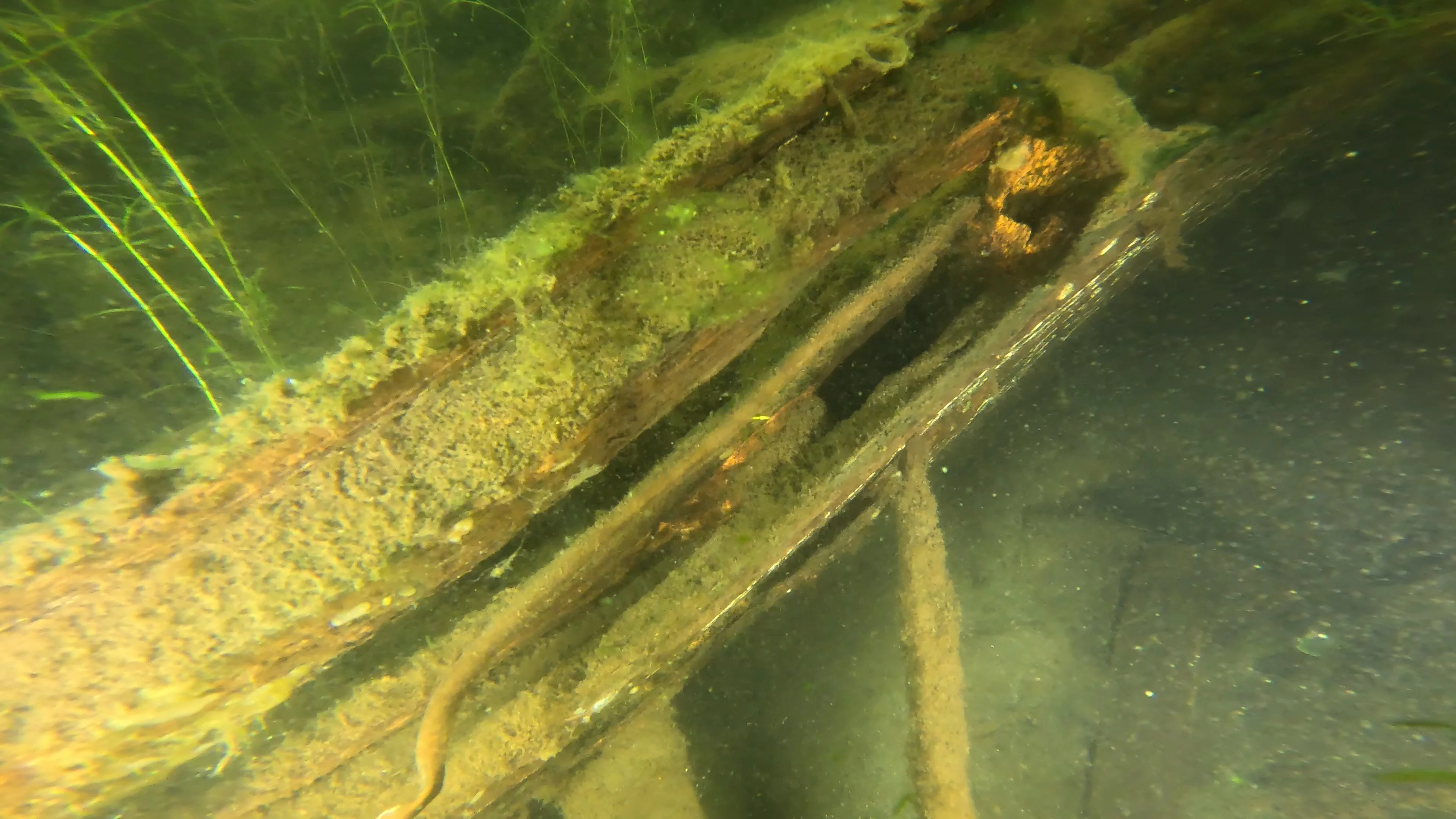 22' Wooden Shipwreck (LU106), Lake Union, Seattle, WA — photo 37 of 37