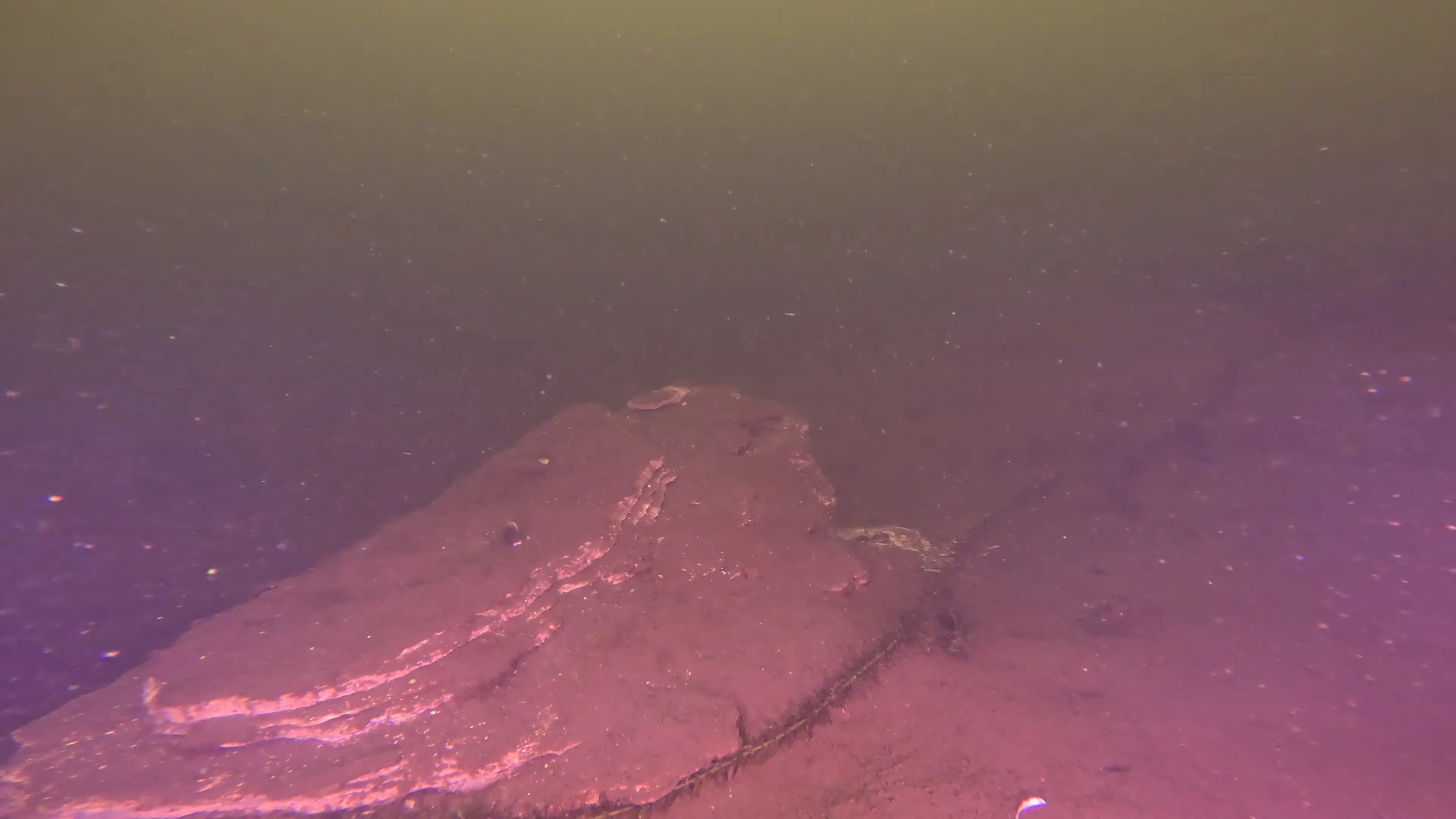 Natural Rock Formation (LU109), Lake Union, Seattle, WA — photo 9 of 16