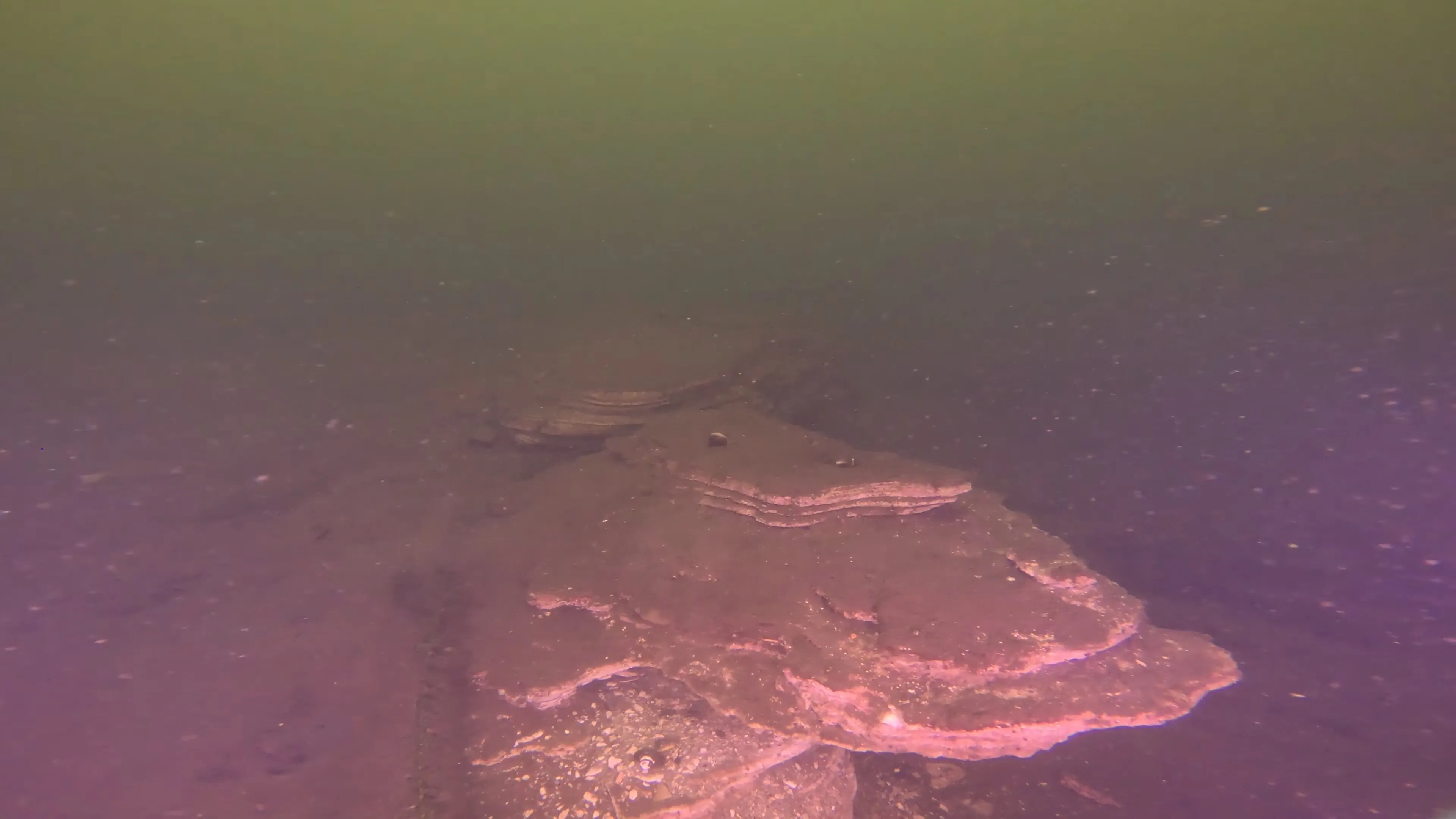 Natural Rock Formation (LU109), Lake Union, Seattle, WA — photo 10 of 16