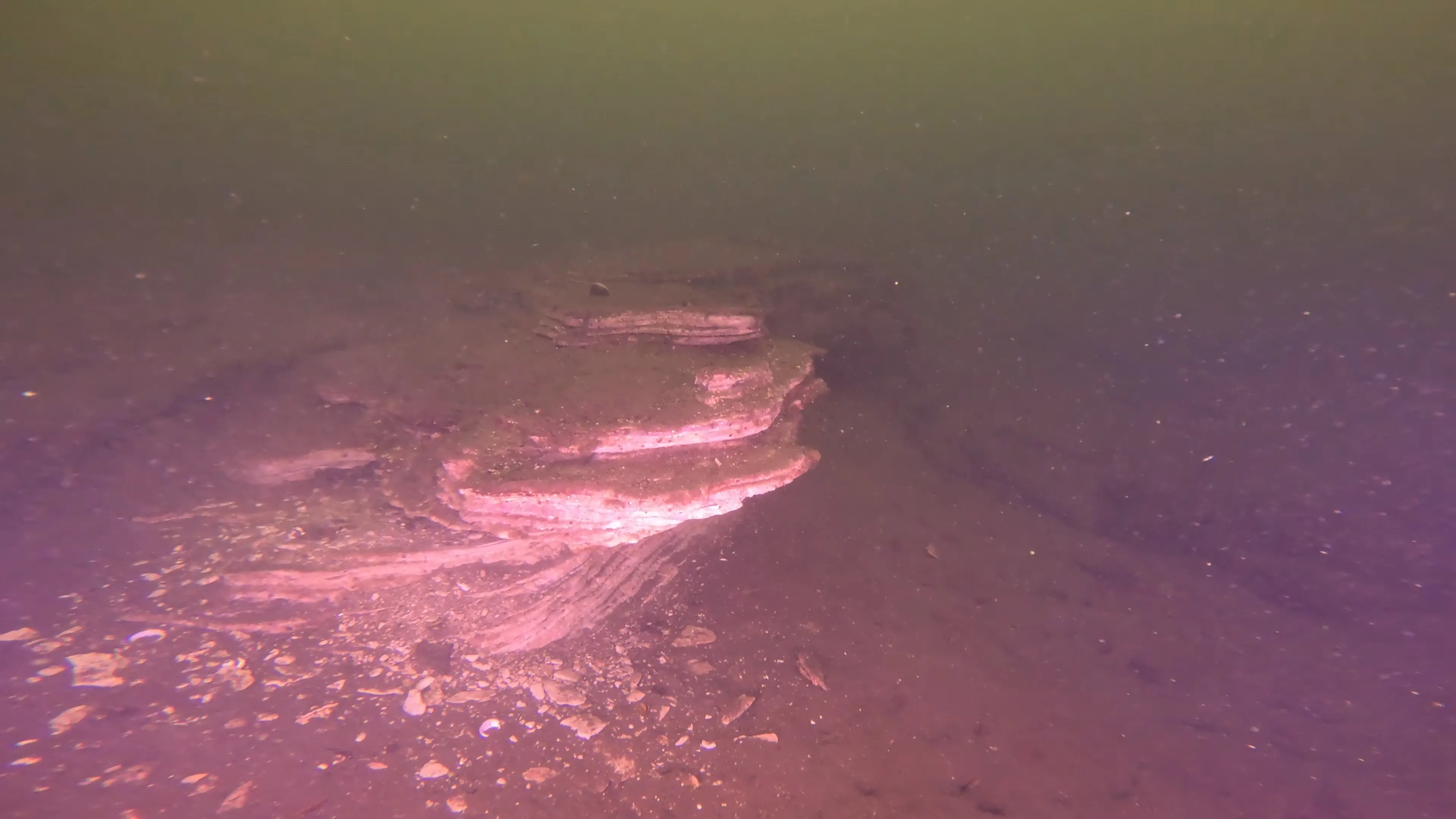Natural Rock Formation (LU109), Lake Union, Seattle, WA — photo 11 of 16