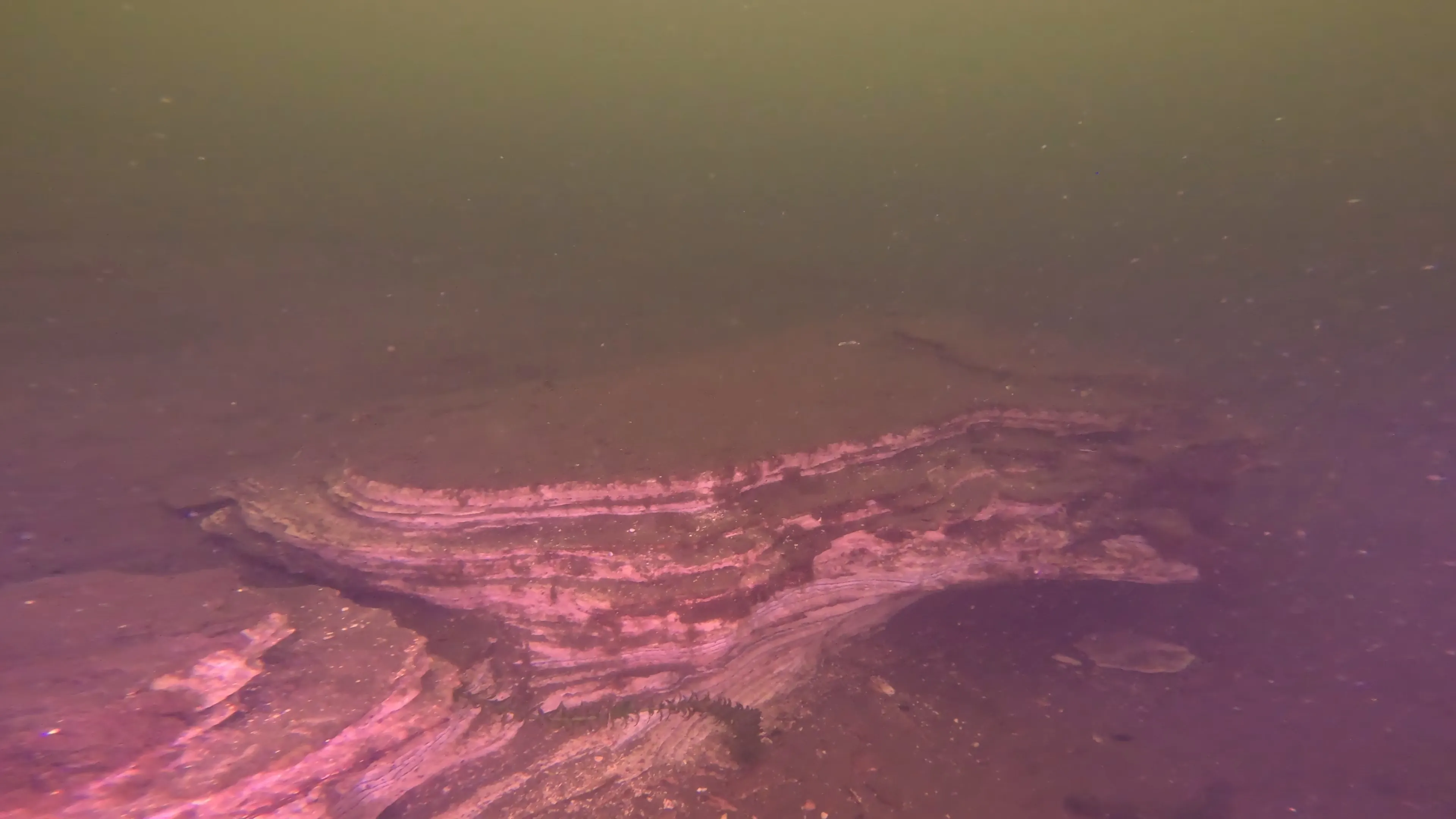 Natural Rock Formation (LU109), Lake Union, Seattle, WA — photo 12 of 16