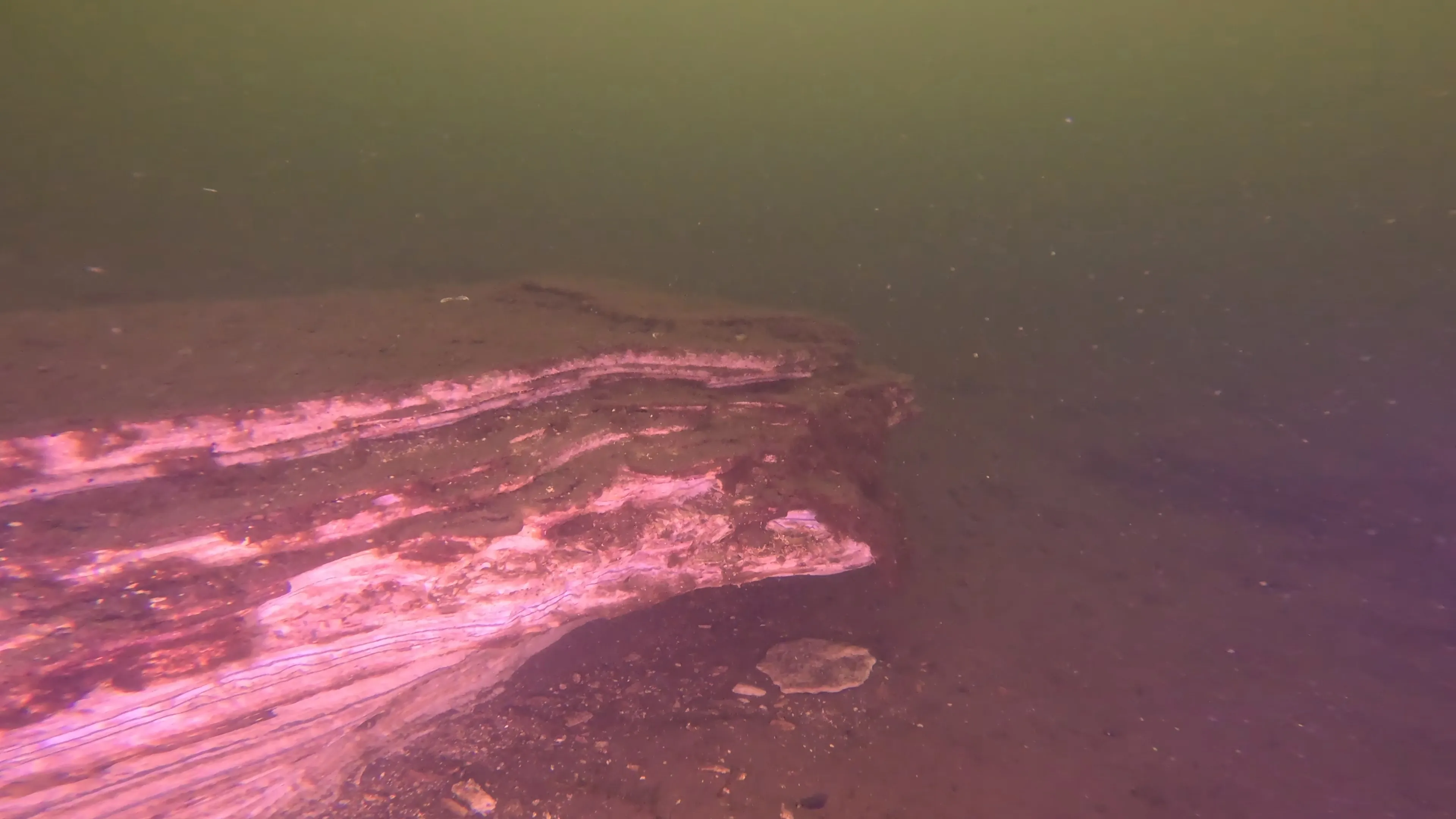 Natural Rock Formation (LU109), Lake Union, Seattle, WA — photo 13 of 16