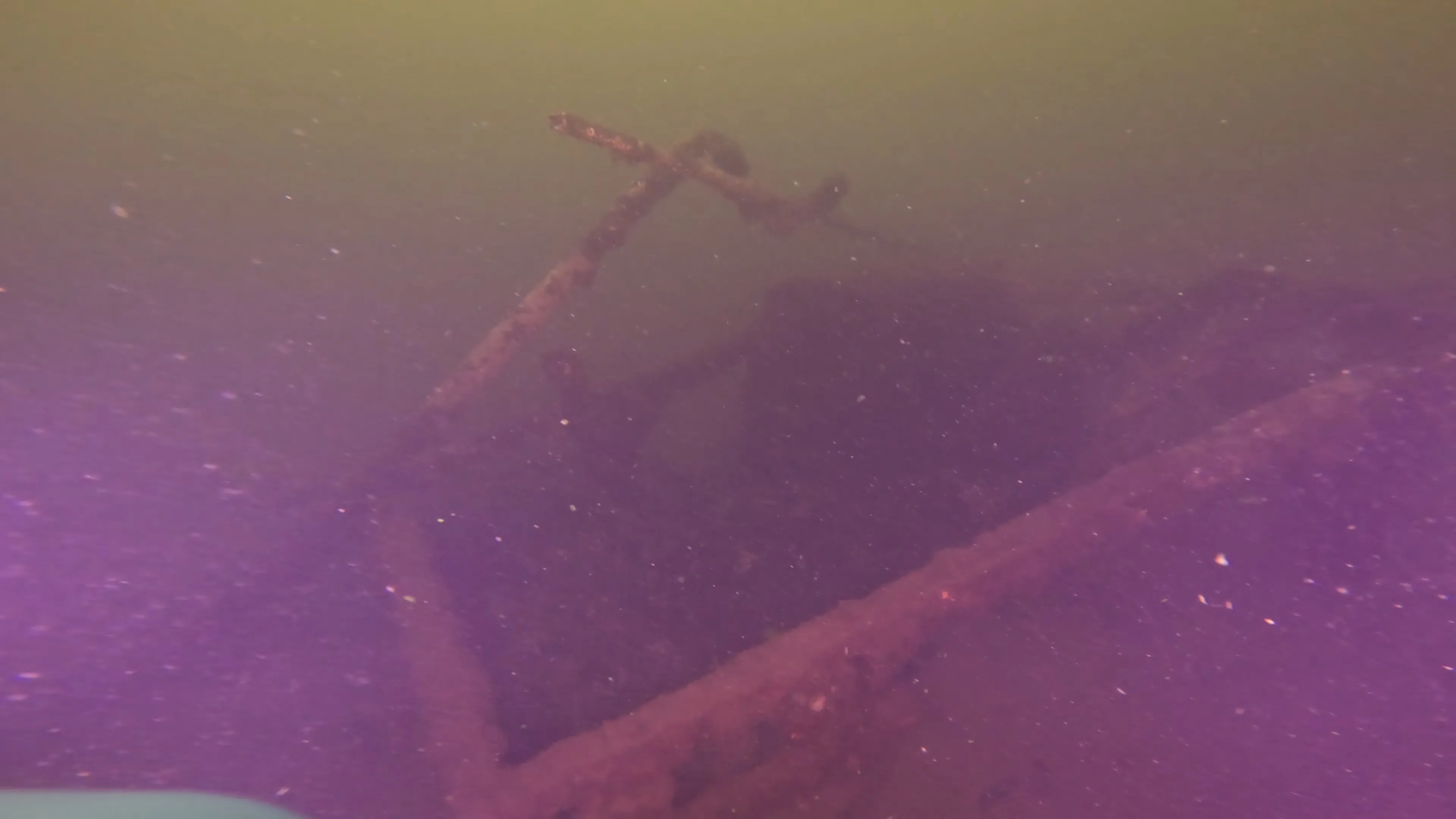 Wood Dock Debris (LU111), Lake Union, Seattle, WA — photo 5 of 30