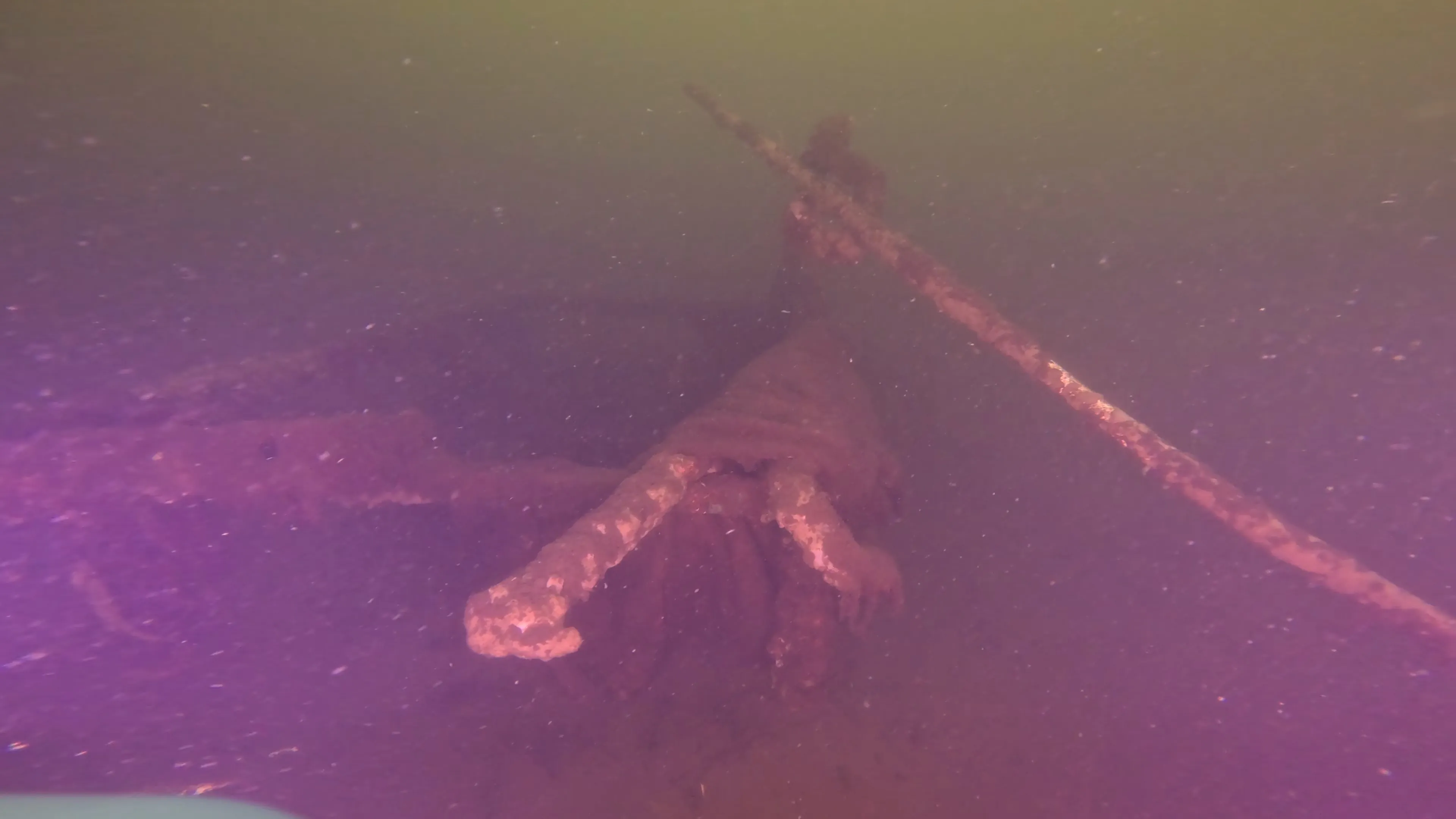Wood Dock Debris (LU111), Lake Union, Seattle, WA — photo 6 of 30