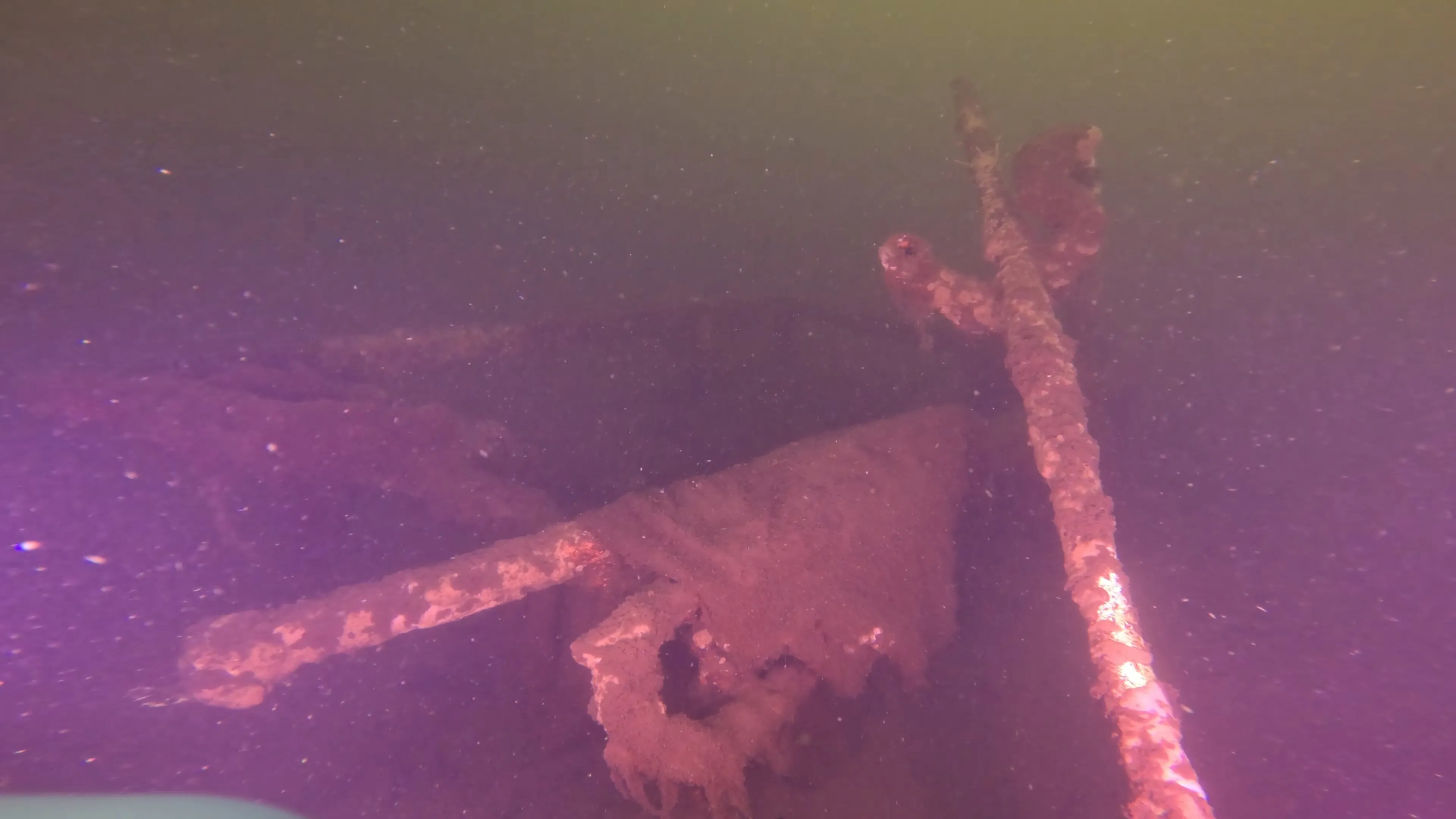 Wood Dock Debris (LU111), Lake Union, Seattle, WA — photo 8 of 30