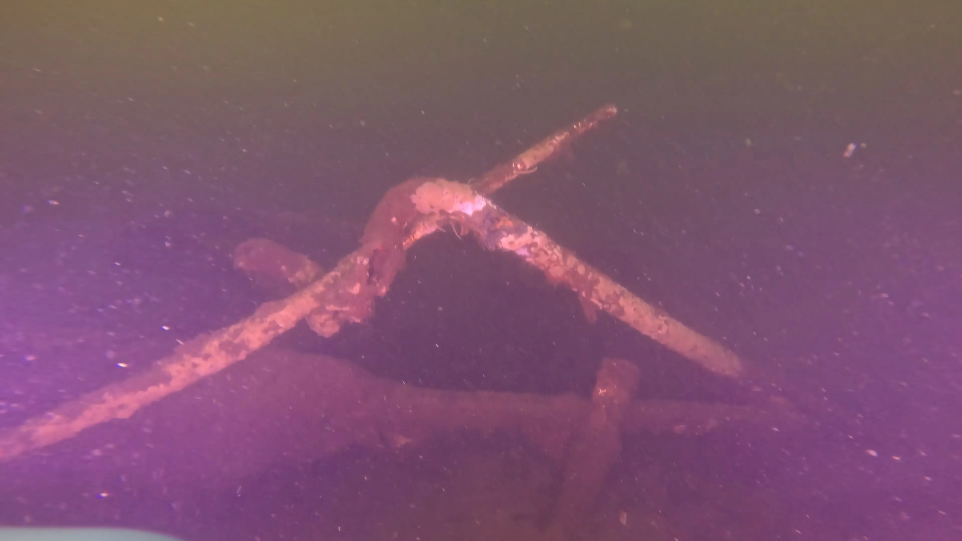 Wood Dock Debris (LU111), Lake Union, Seattle, WA — photo 9 of 30