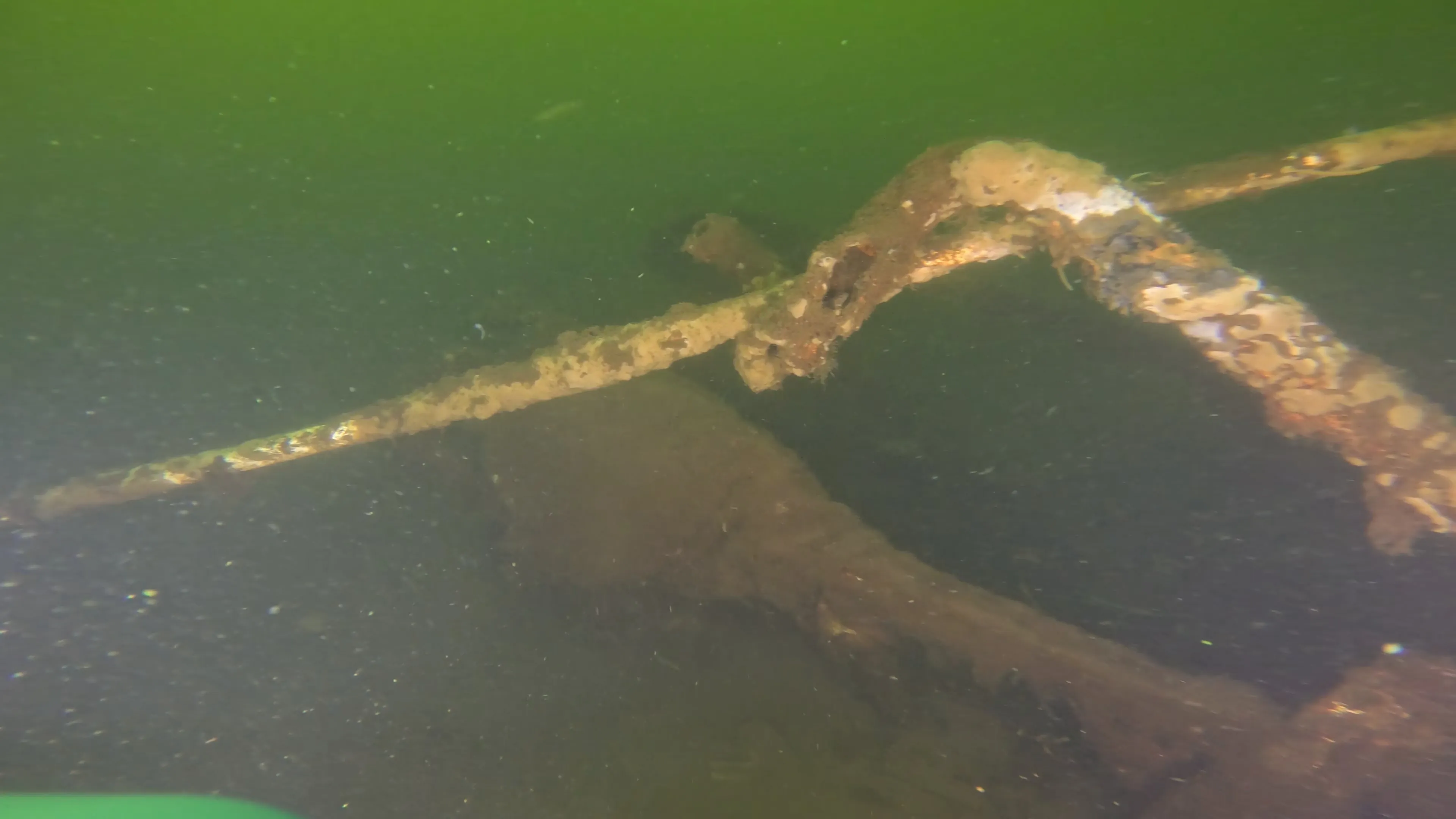 Wood Dock Debris (LU111), Lake Union, Seattle, WA — photo 10 of 30