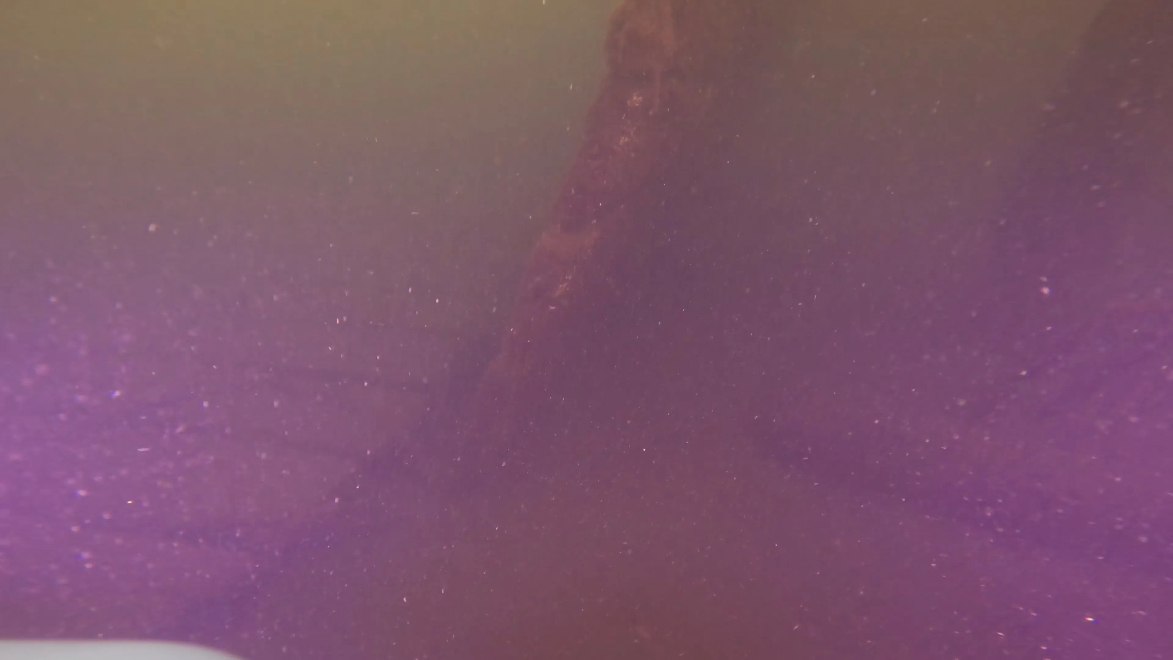 Wood Dock Debris (LU111), Lake Union, Seattle, WA — photo 13 of 30