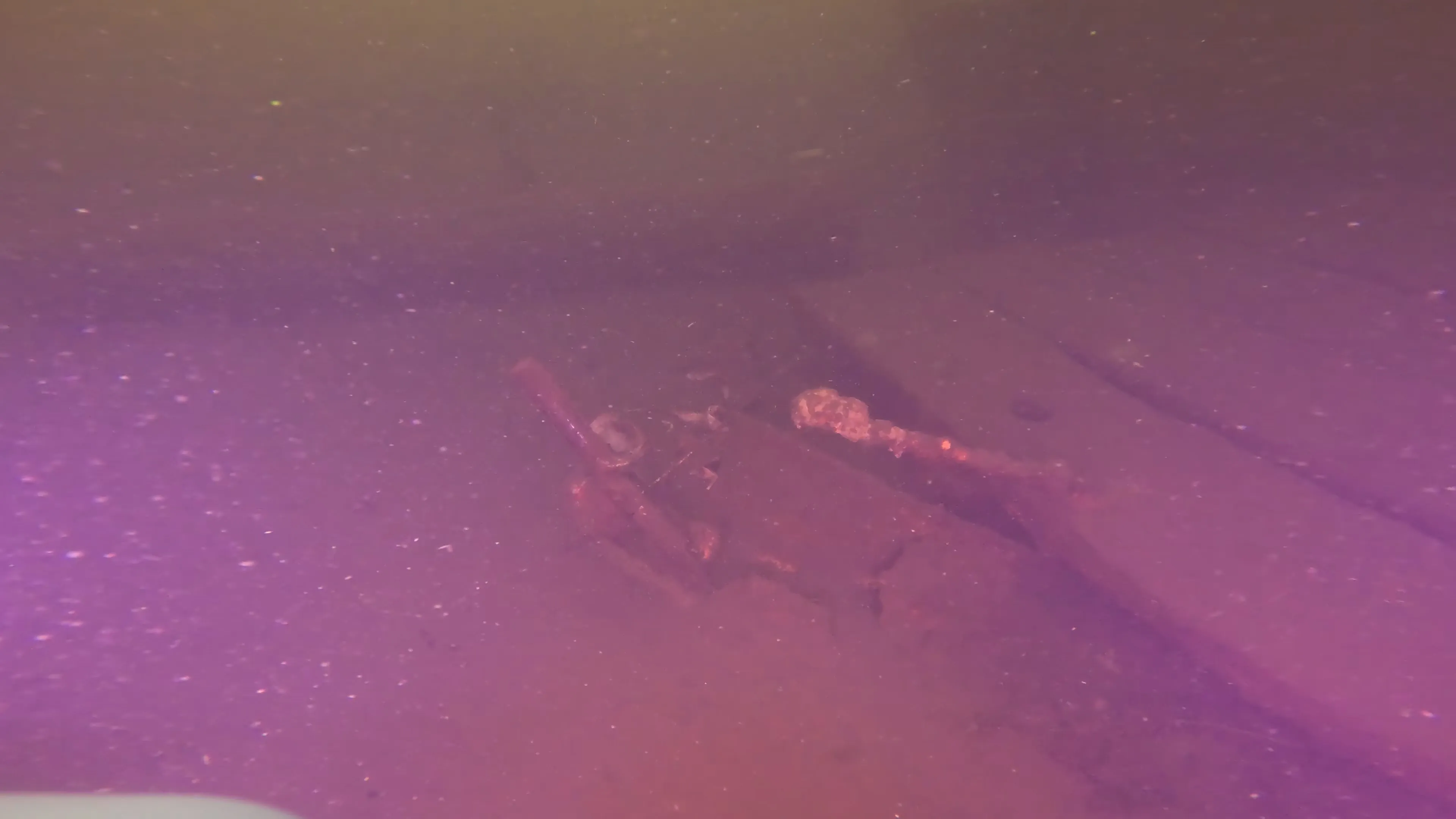 Wood Dock Debris (LU111), Lake Union, Seattle, WA — photo 20 of 30