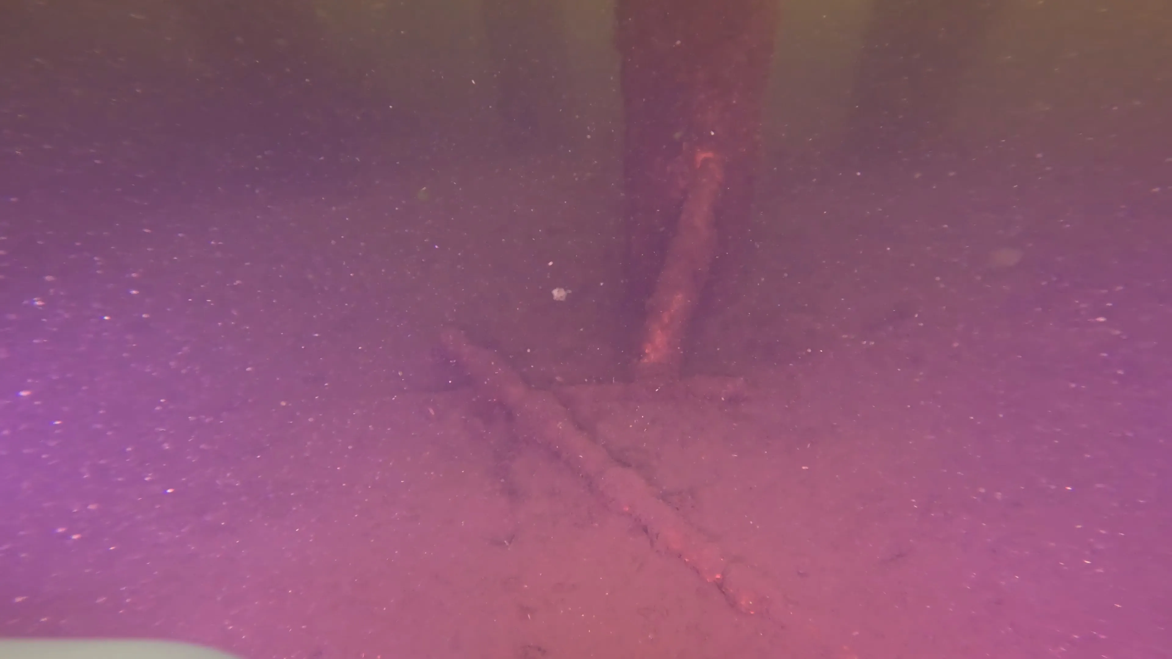 Wood Dock Debris (LU111), Lake Union, Seattle, WA — photo 22 of 30