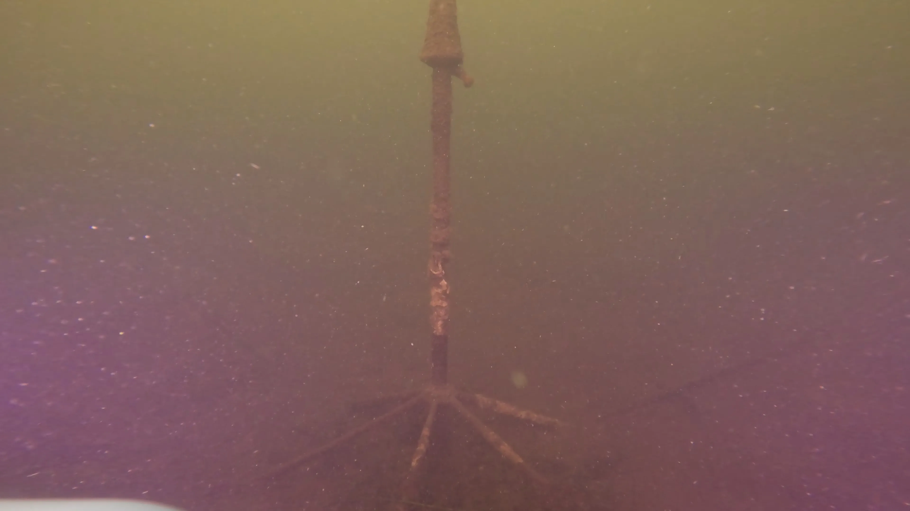 Wood Dock Debris (LU111), Lake Union, Seattle, WA — photo 24 of 30