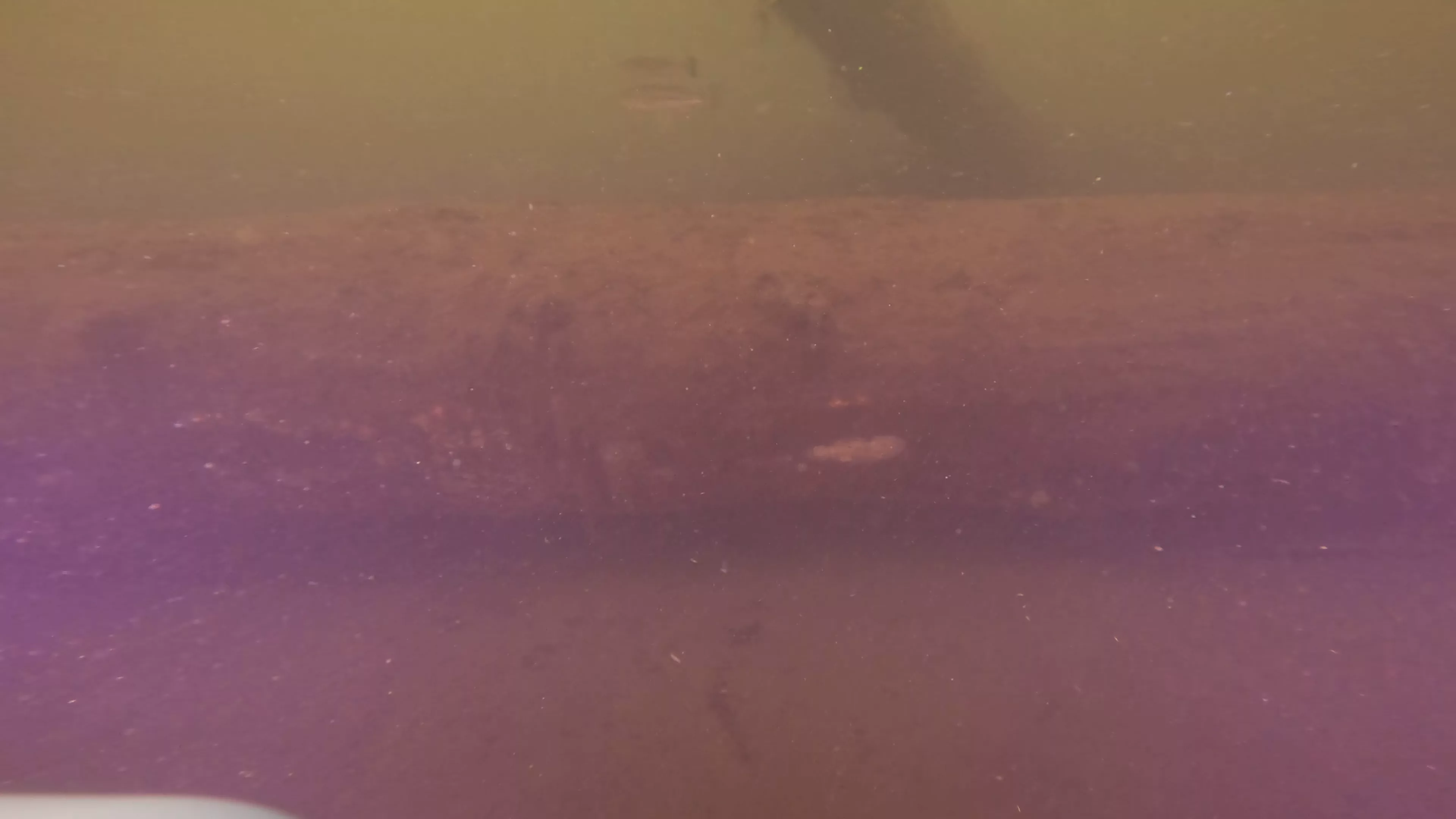 Log Pile (LU112), Lake Union, Seattle, WA — photo 13 of 21