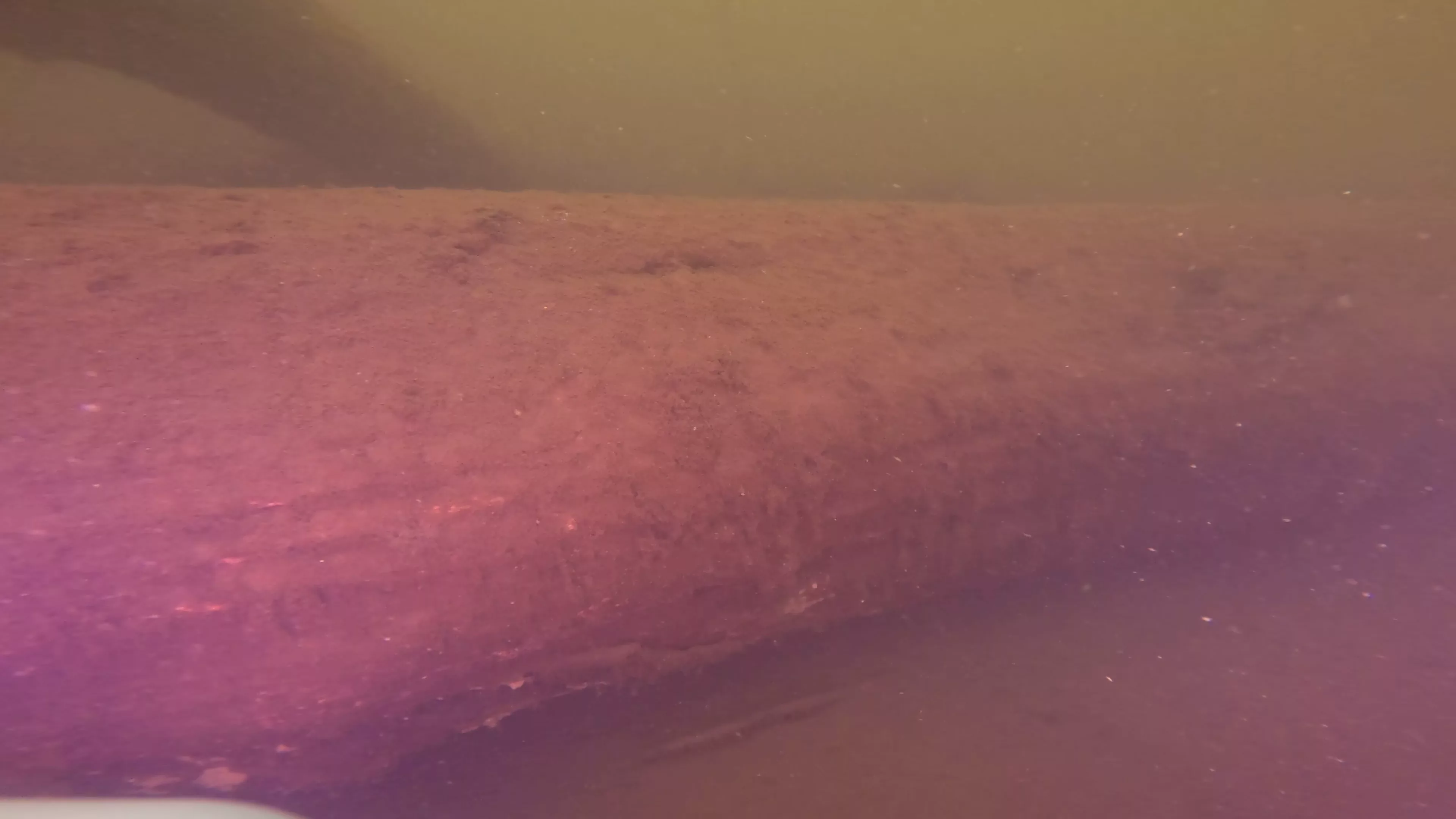 Log Pile (LU112), Lake Union, Seattle, WA — photo 15 of 21
