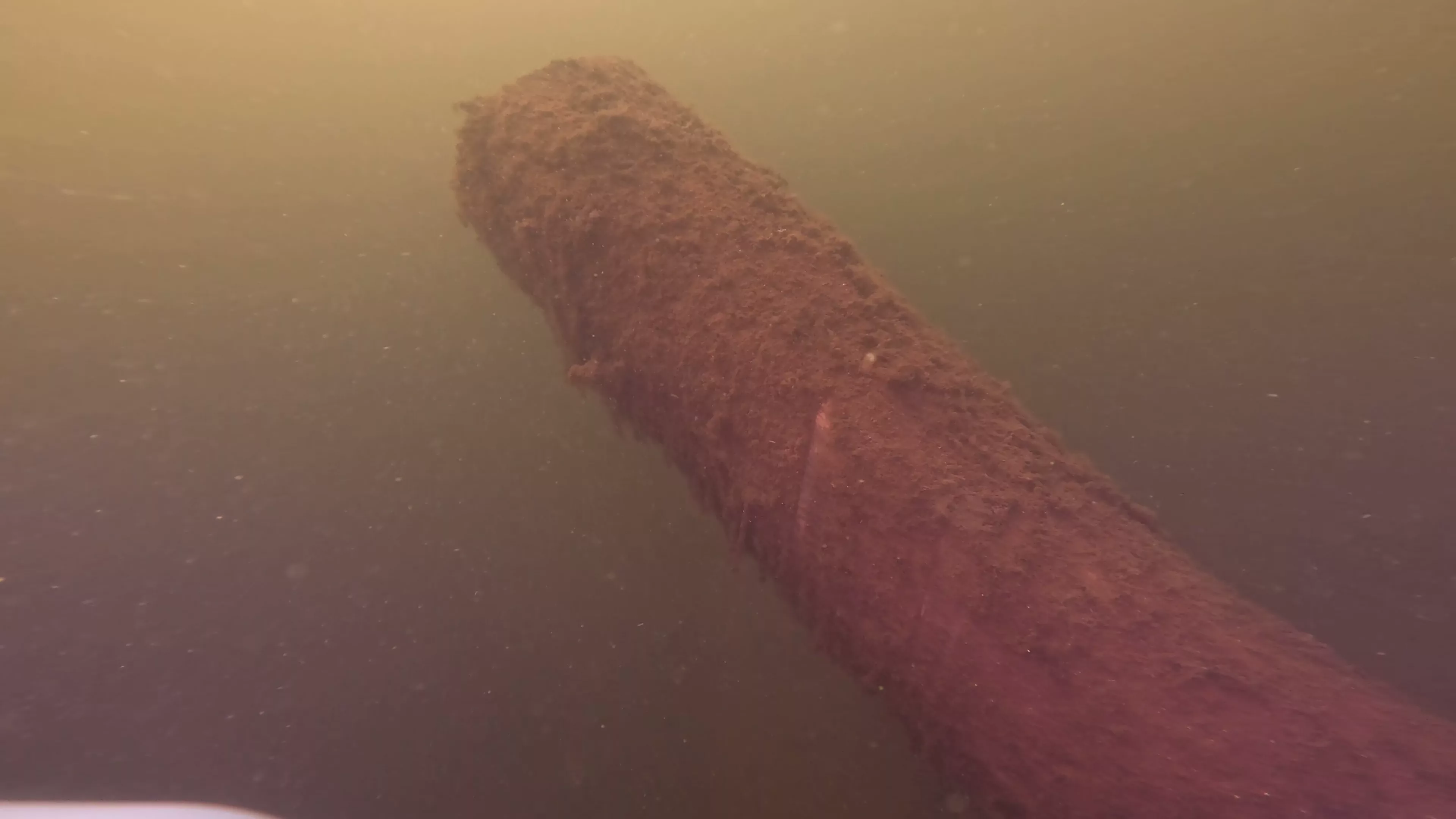 Log Pile (LU112), Lake Union, Seattle, WA — photo 20 of 21